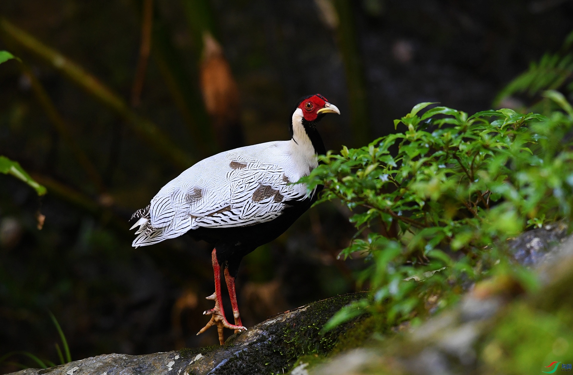 DSC_4349.jpg