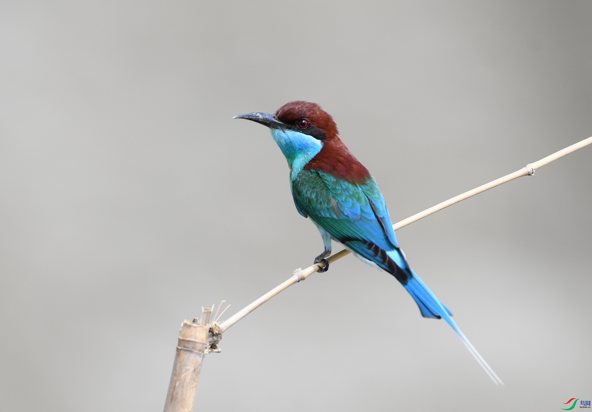 DSC_4191.jpg