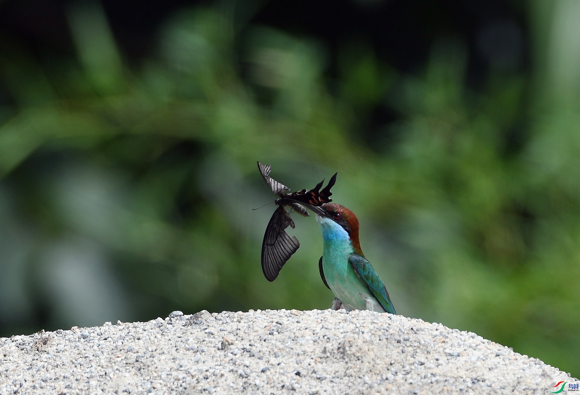 DSC_4229.jpg