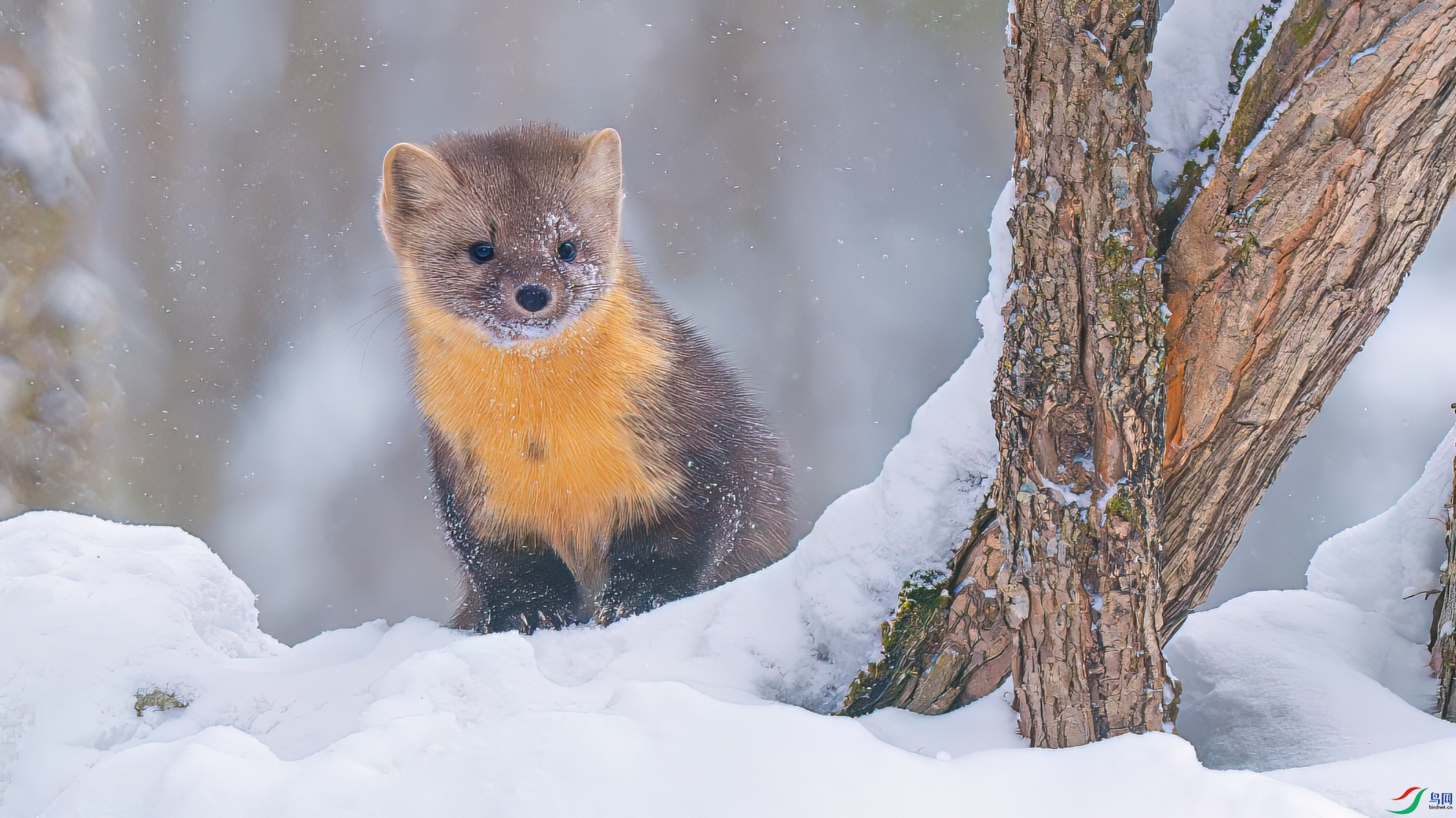 DSC02016.jpg