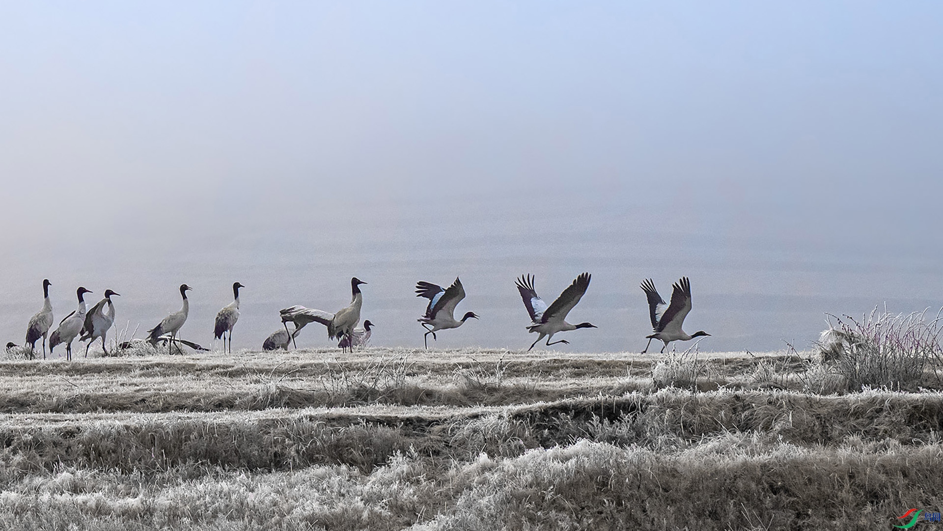 DSC_9517-�ָ���.jpg