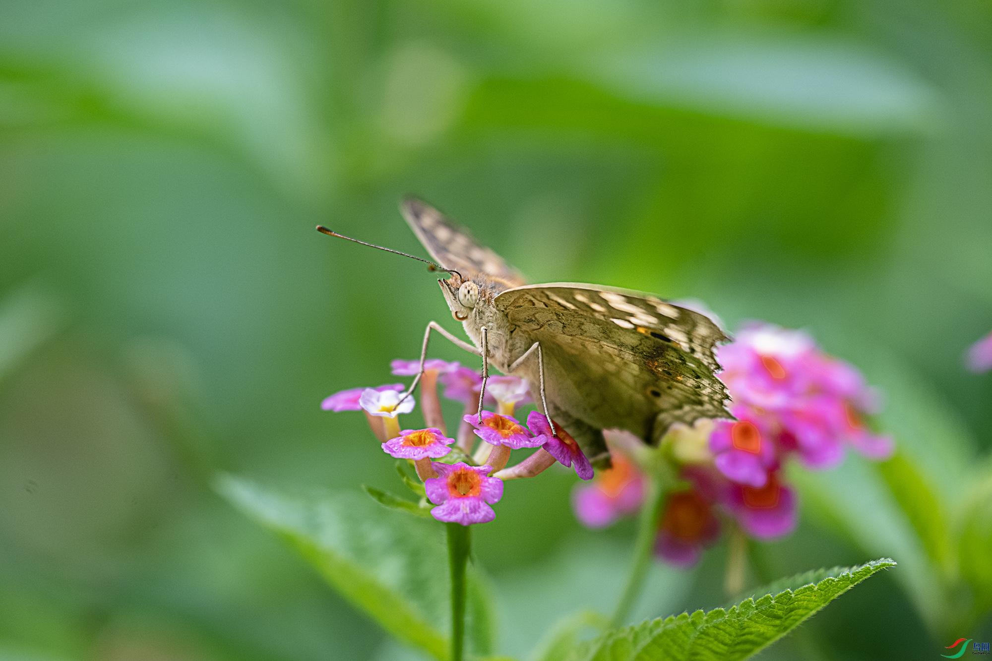 DSC_6703.jpg