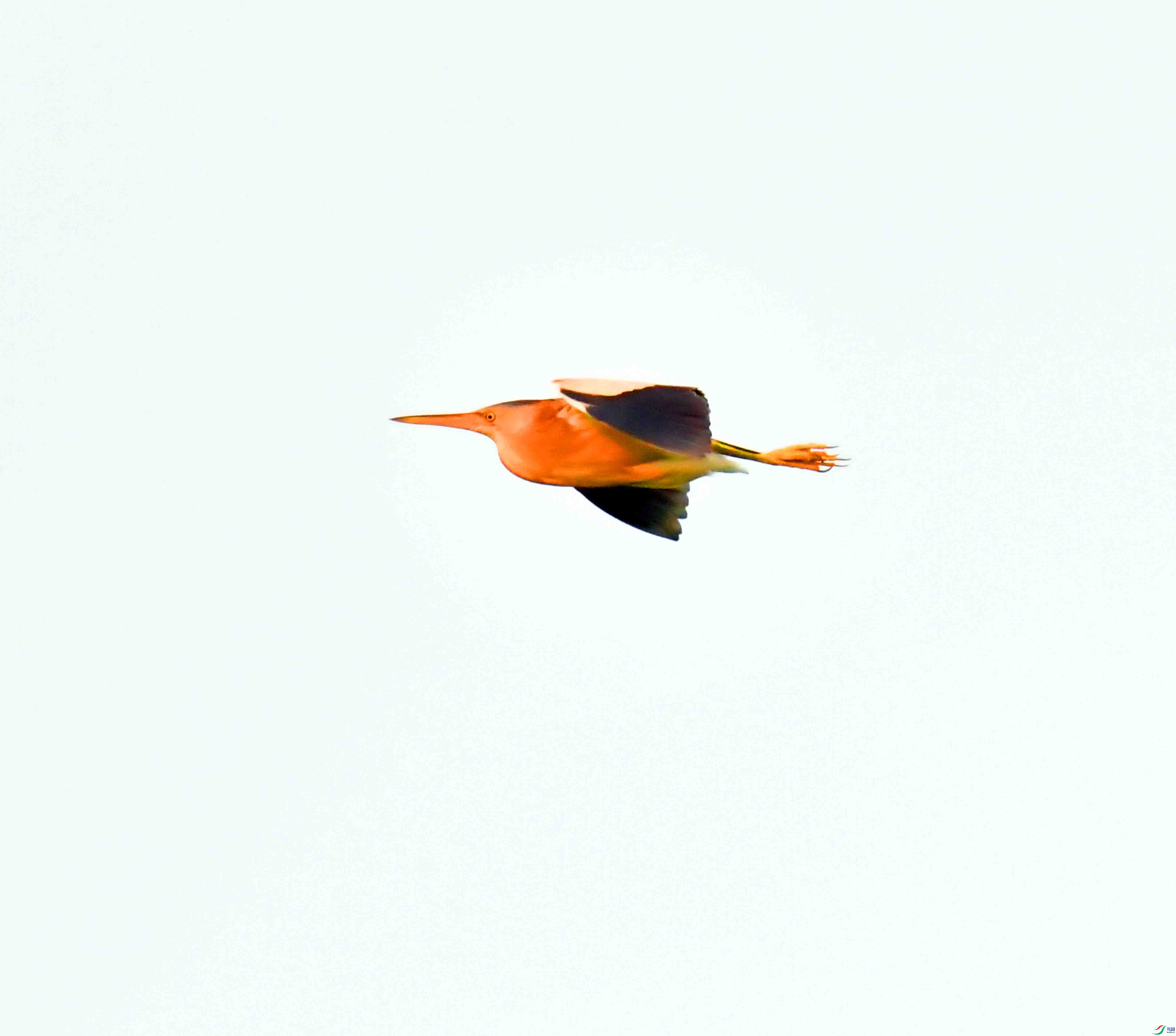 DSC_0207.JPG