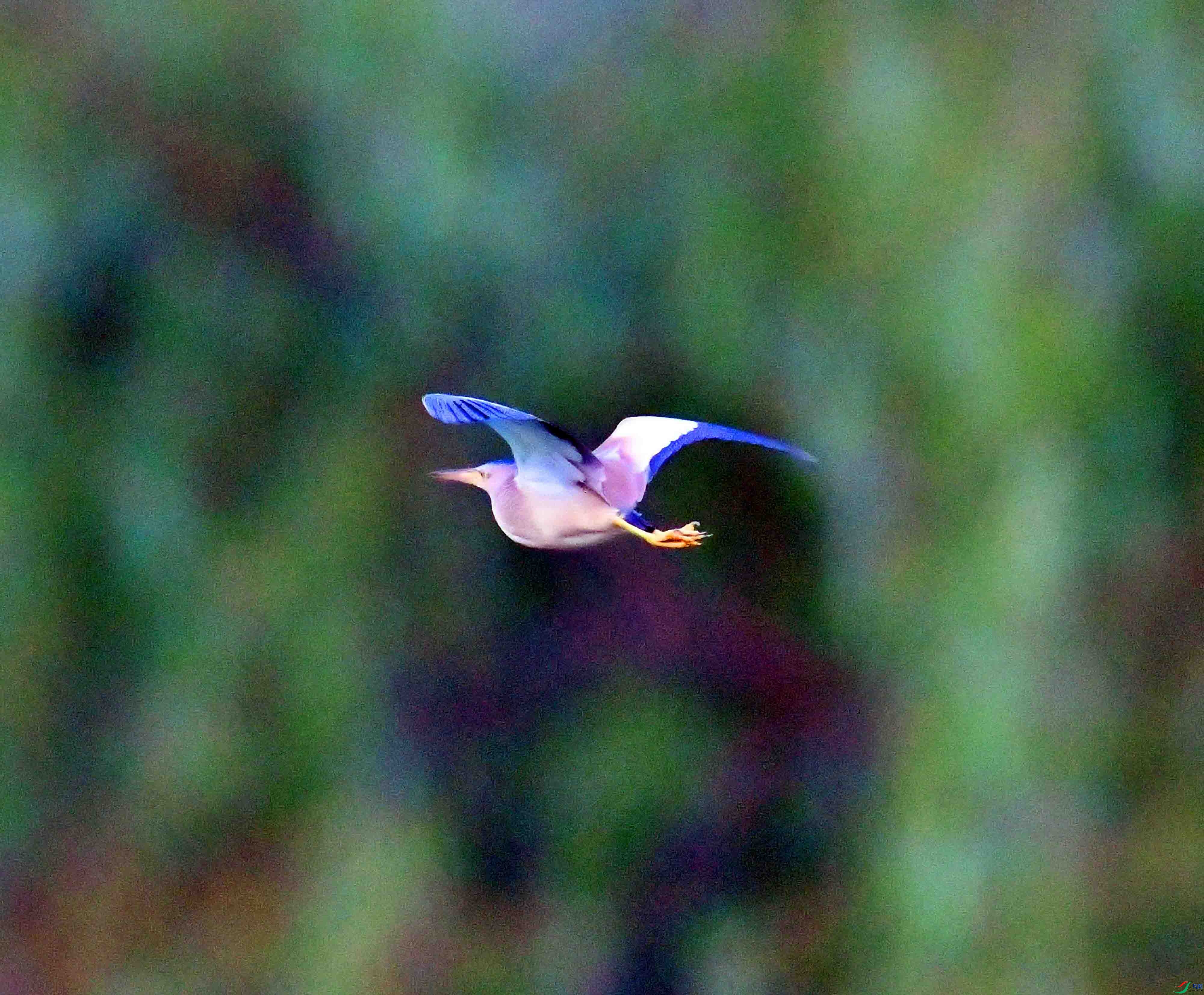 DSC_0168.JPG