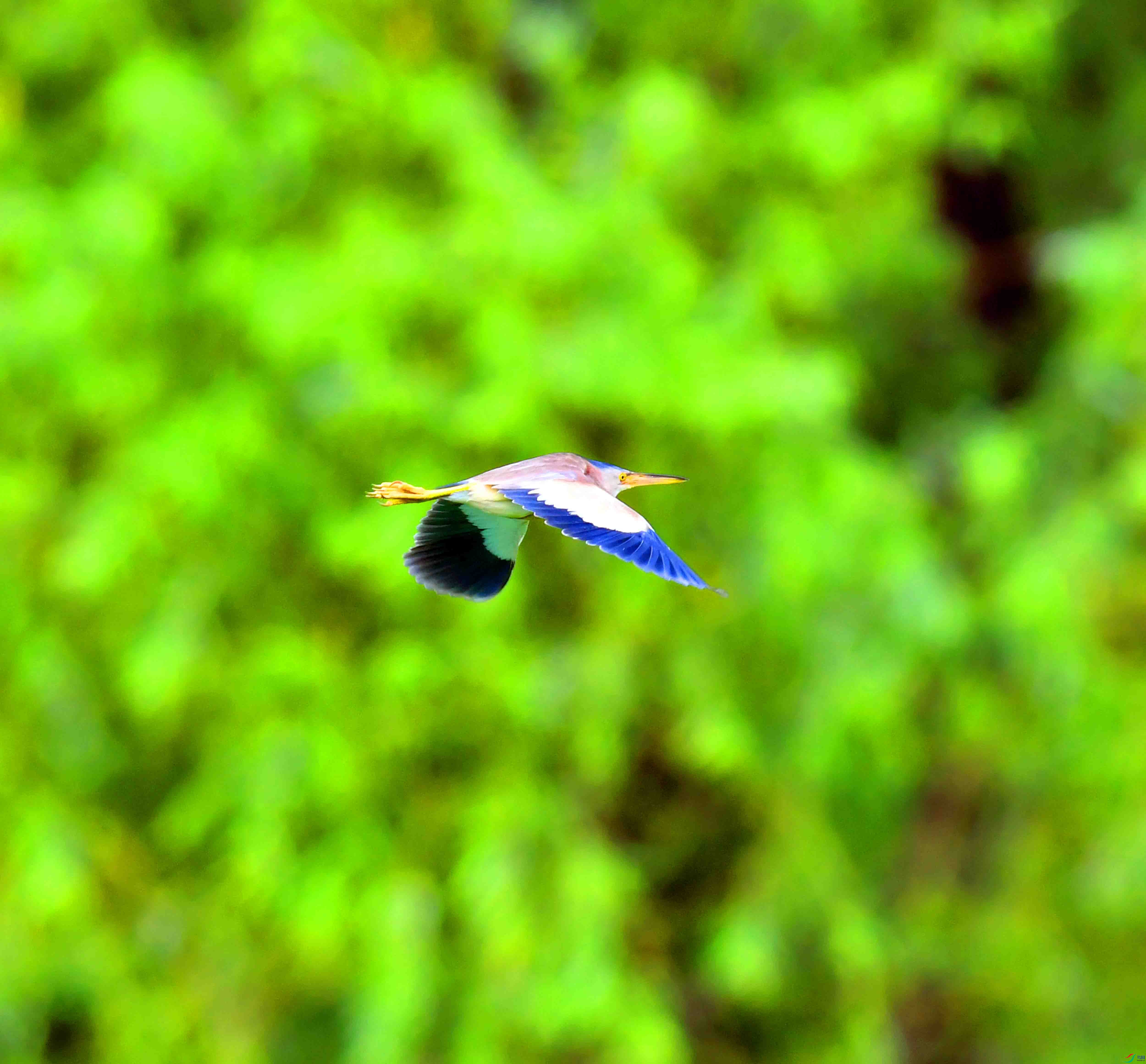 DSC_0974.JPG