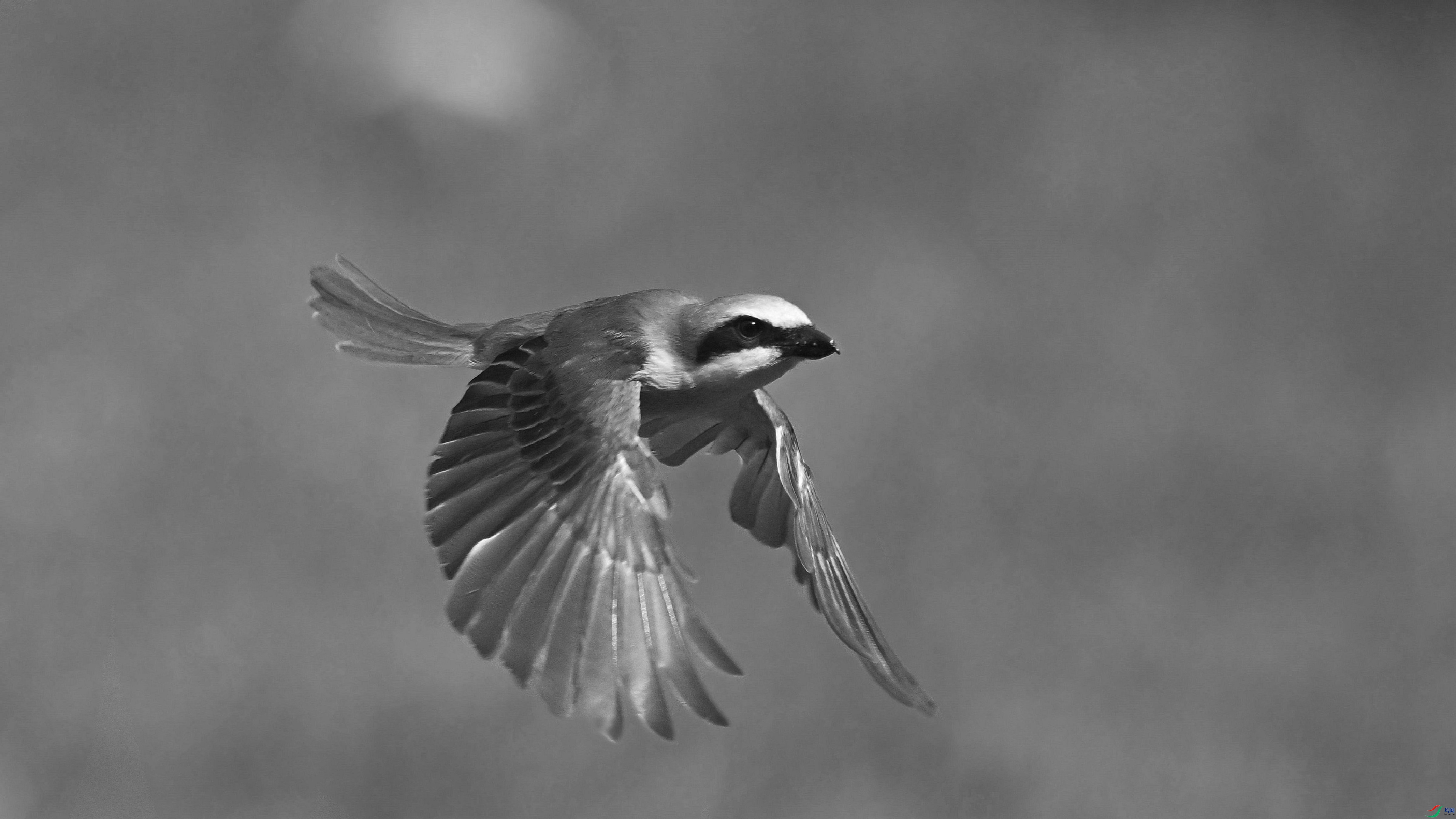 DSC_3674.JPG