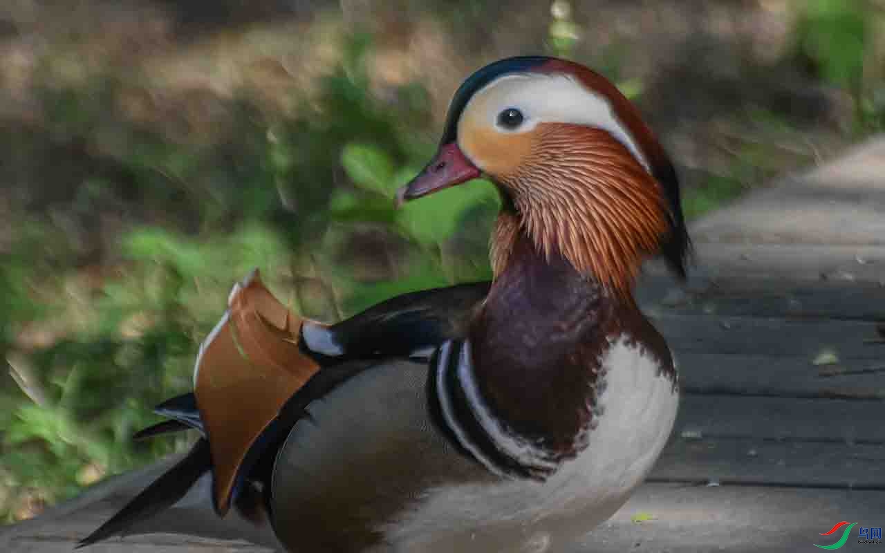 RGB_9983 ����.jpg