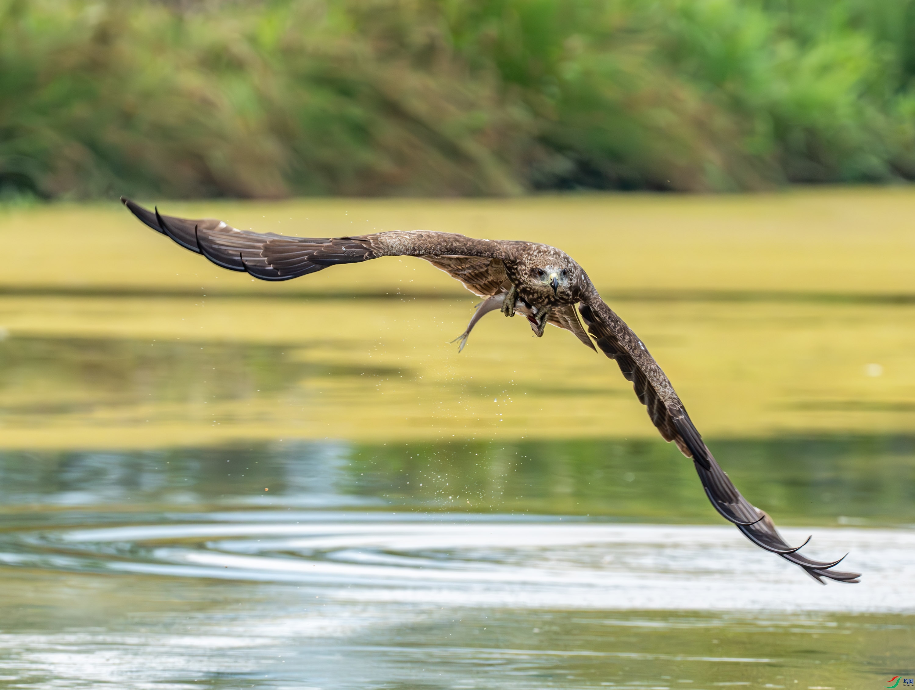 ��� (13 - 253).jpg