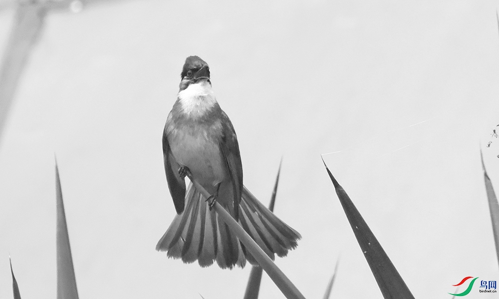 DSCF9614.1.jpg
