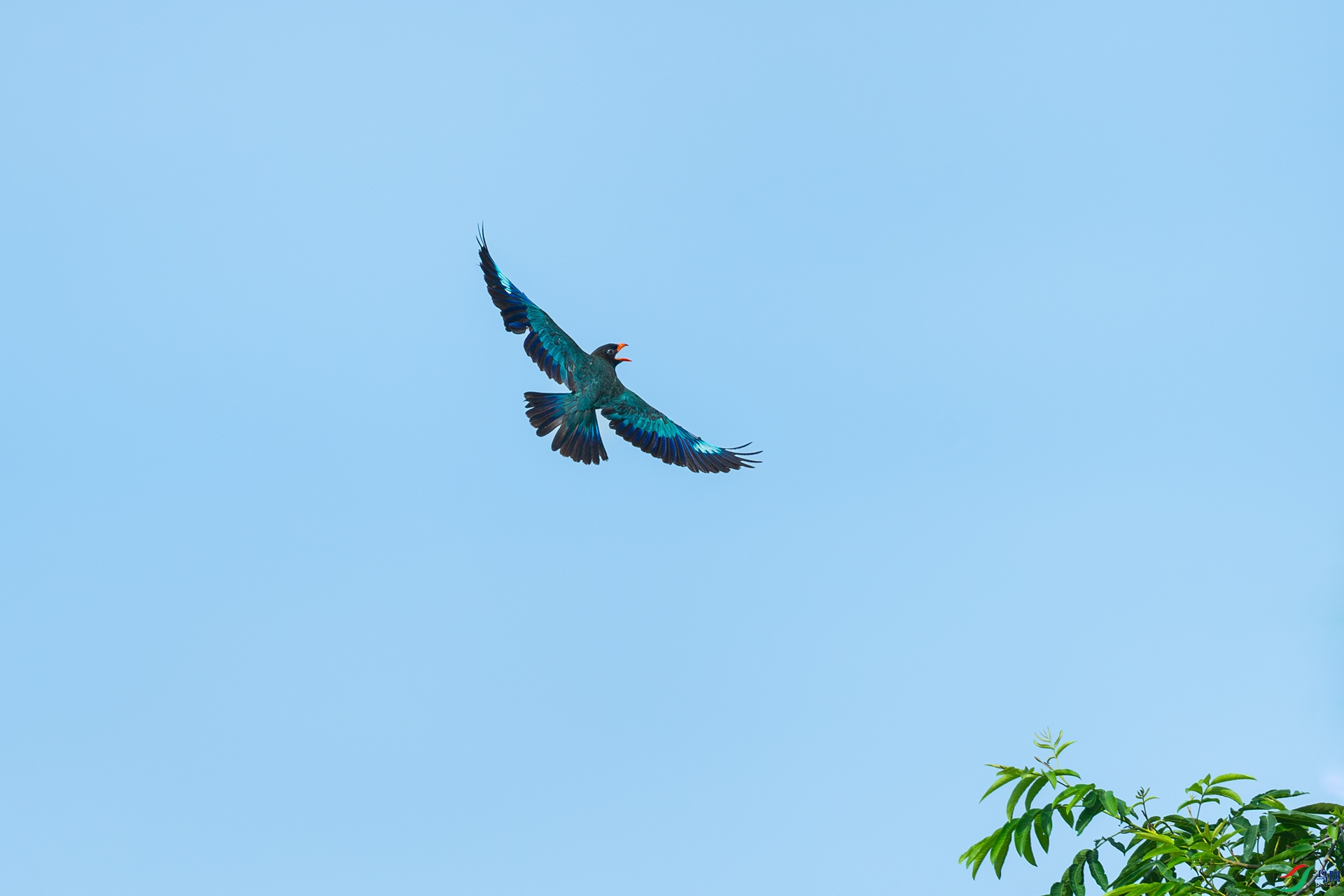 DSC_4057.jpg