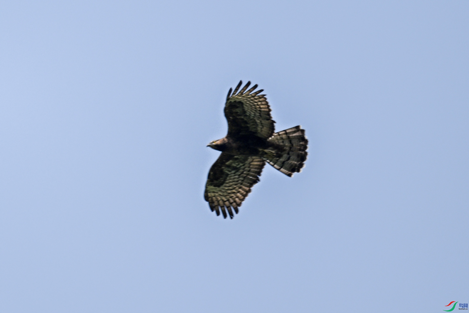 DSC_5479.JPG
