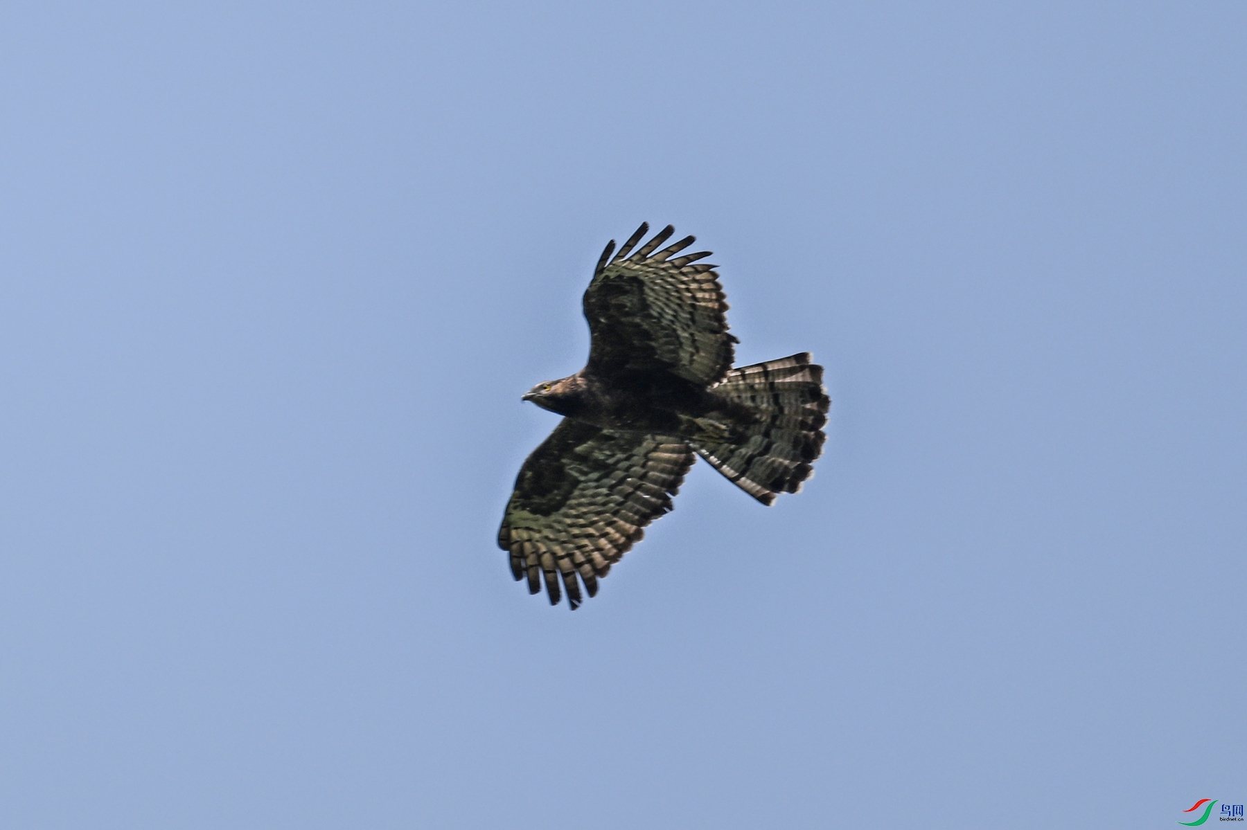 DSC_5480.JPG