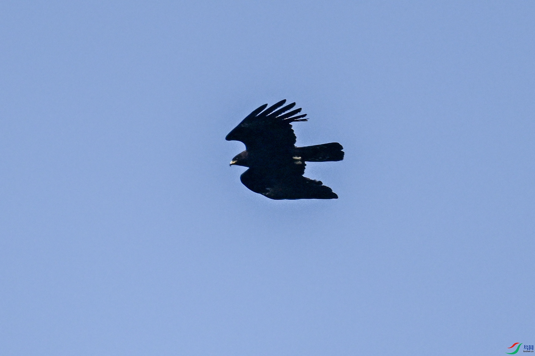 DSC_5486.JPG
