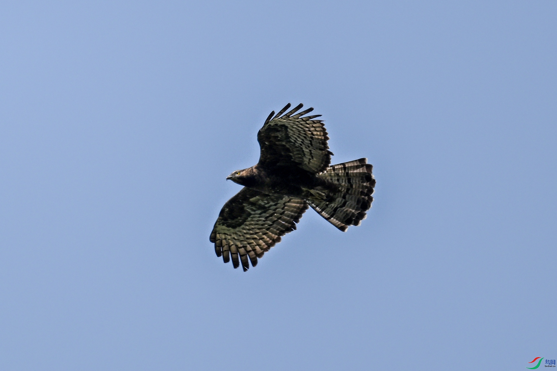 DSC_5481.JPG