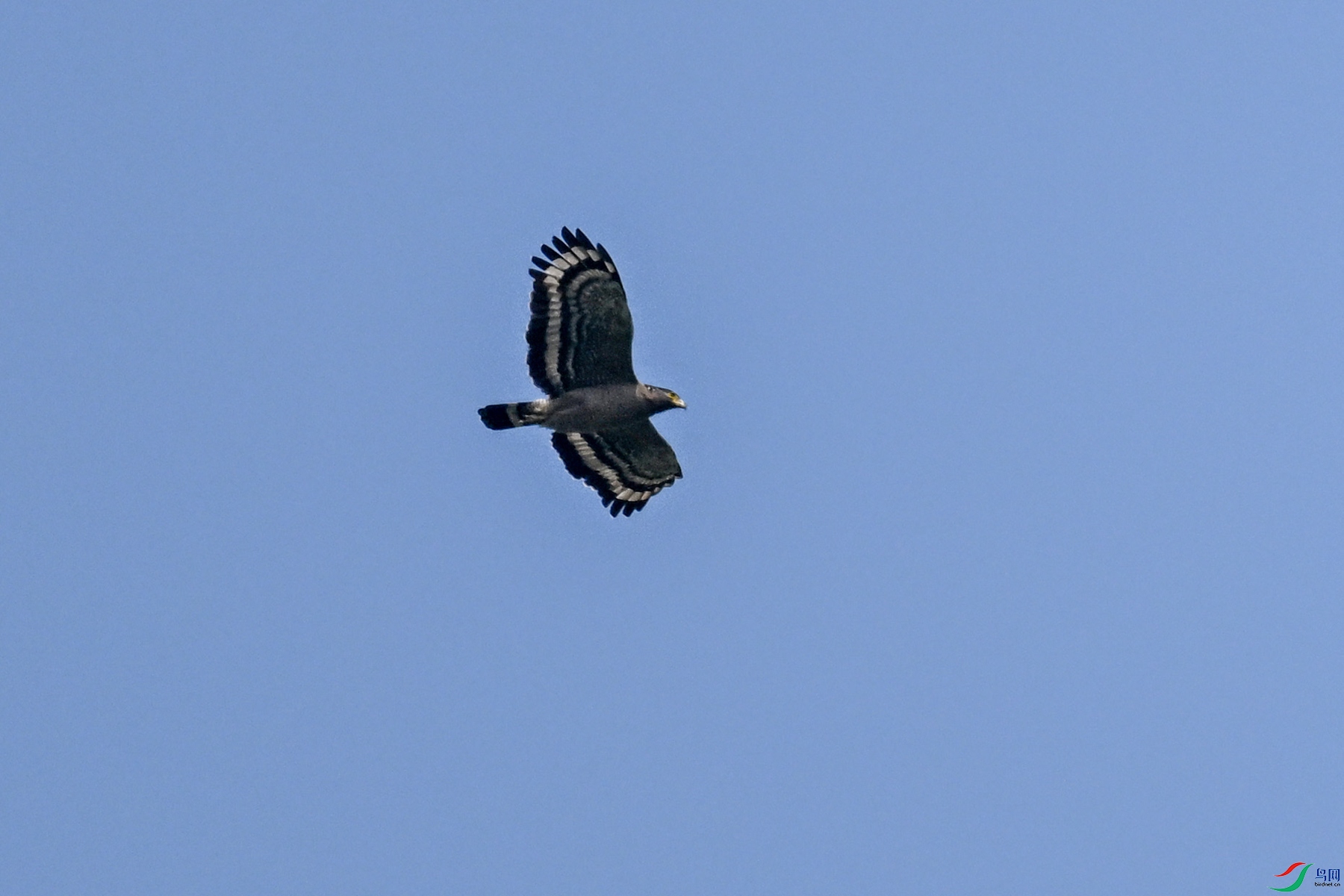 DSC_5499.JPG