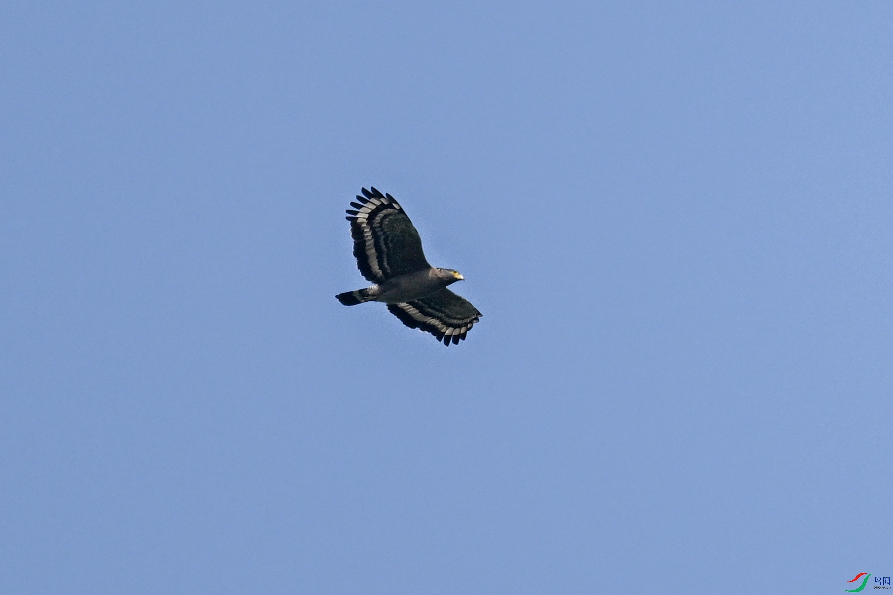 DSC_5500.JPG