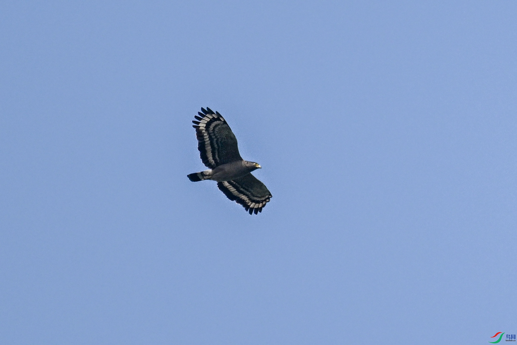 DSC_5489.JPG