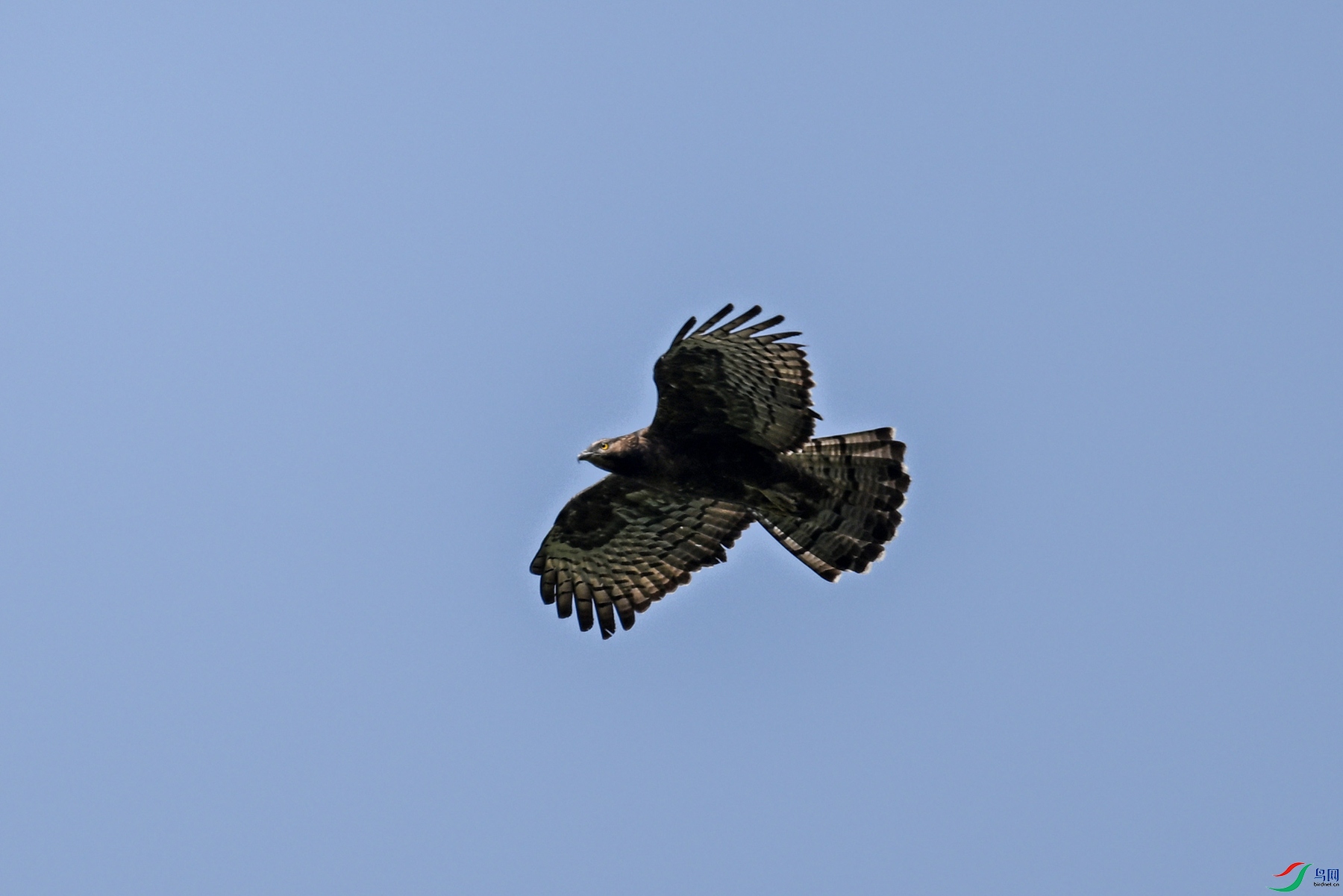 DSC_5482.JPG
