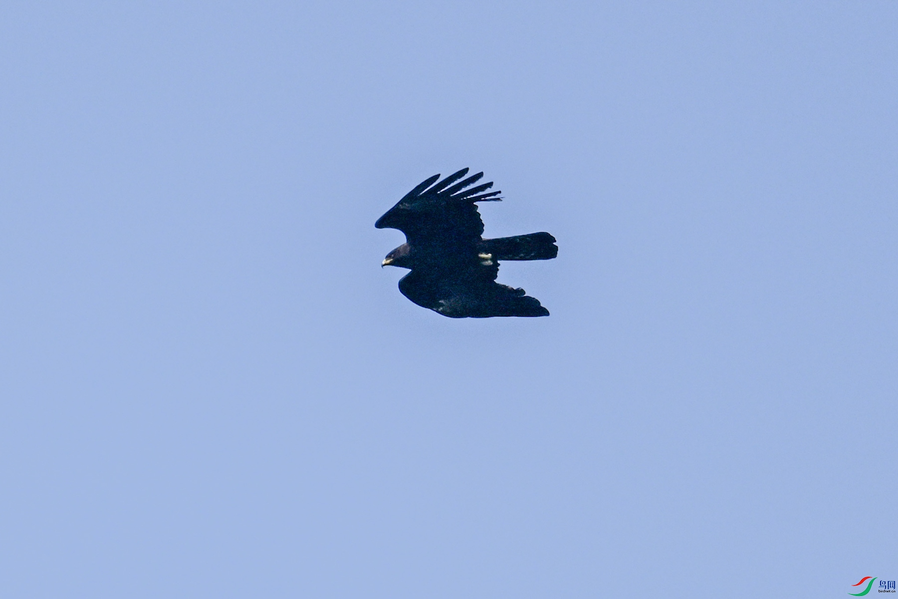 DSC_5487.JPG