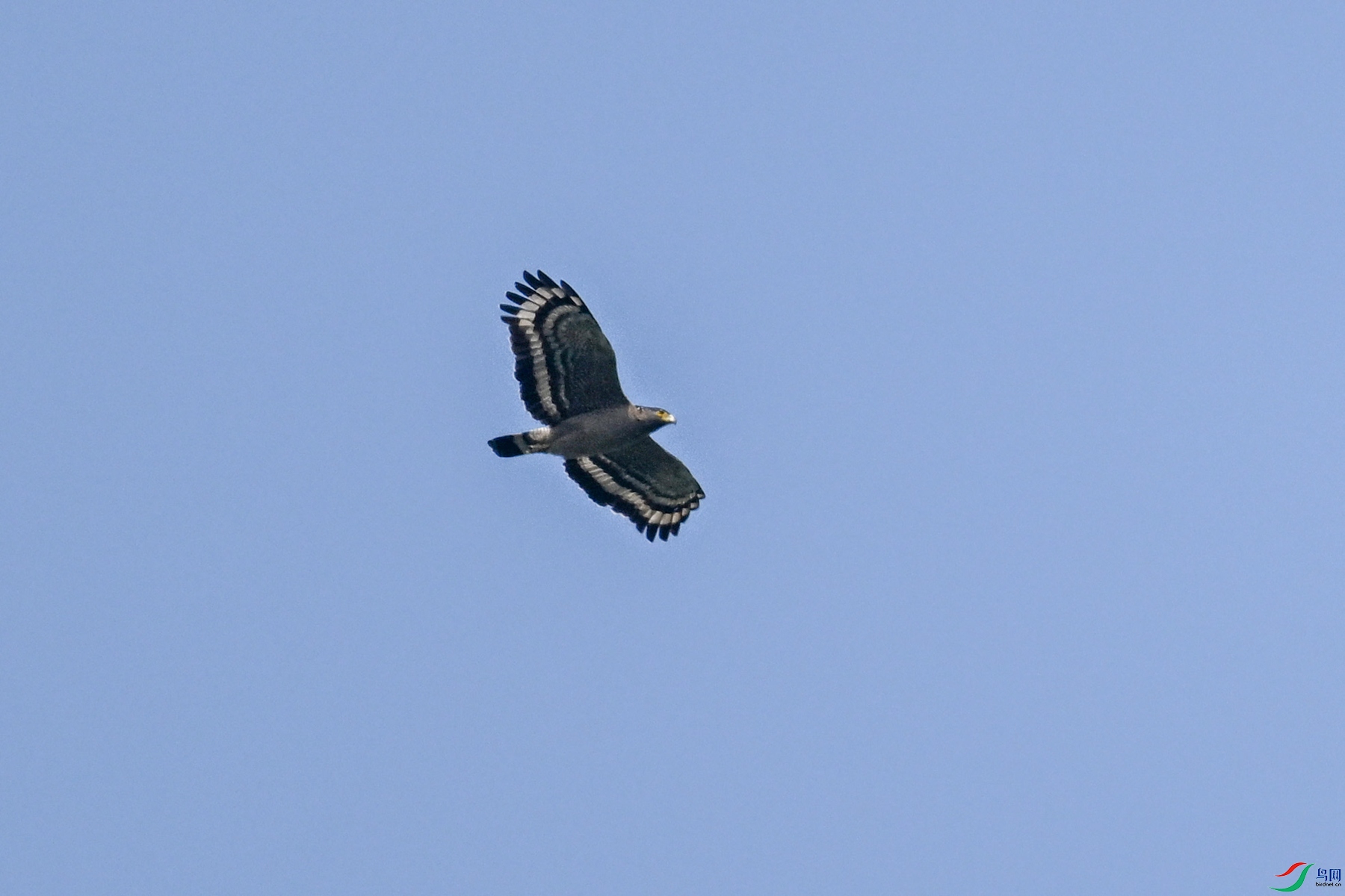DSC_5491.JPG