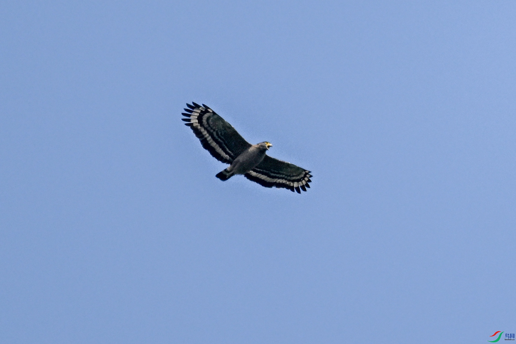 DSC_5510.JPG