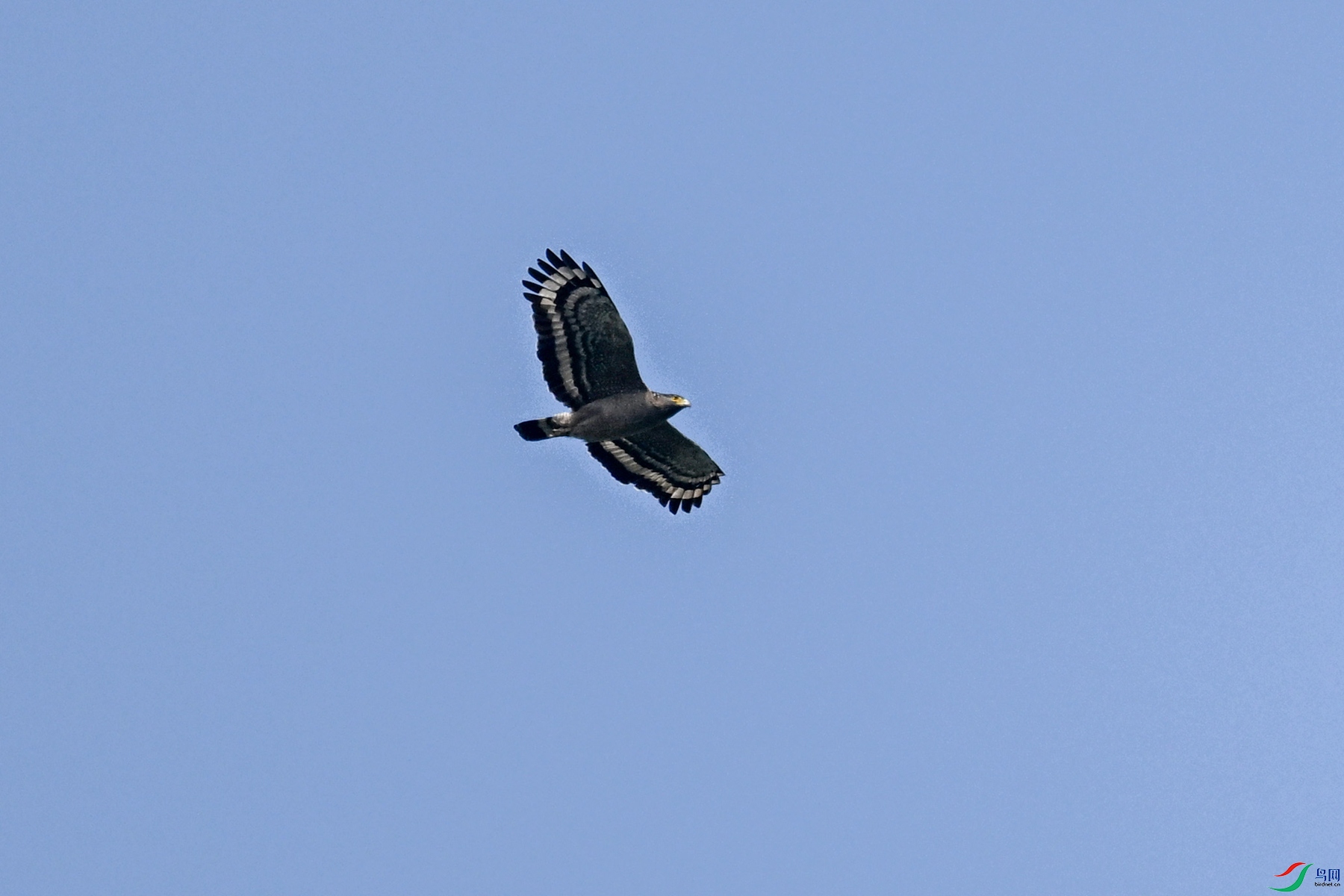 DSC_5492.JPG