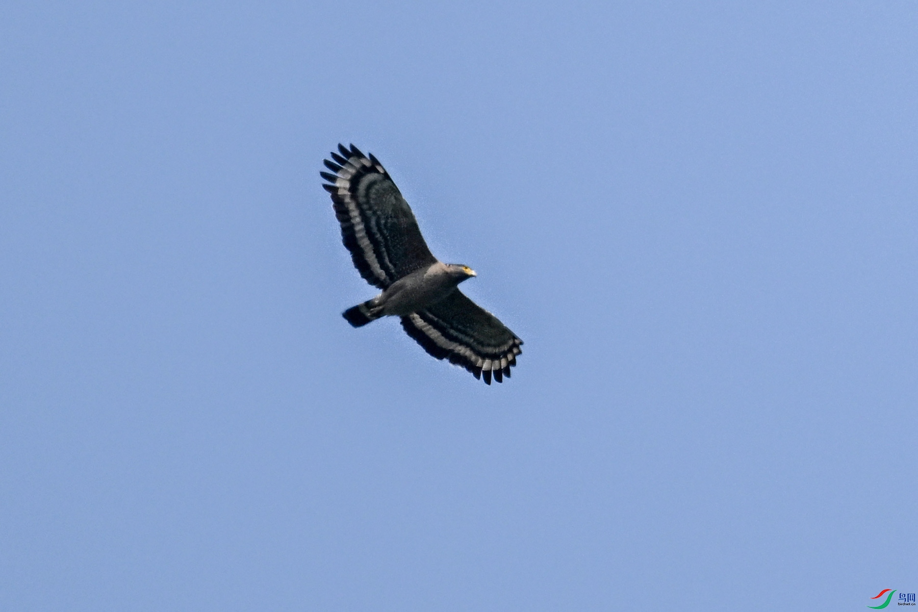 DSC_5512.JPG