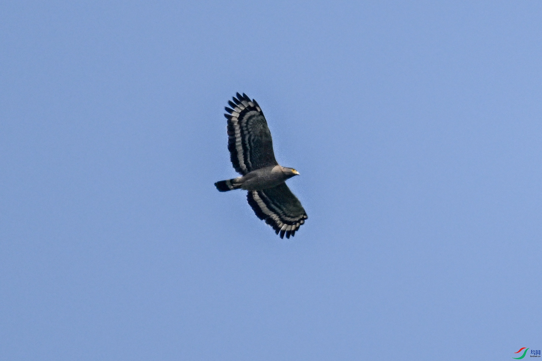 DSC_5514.JPG