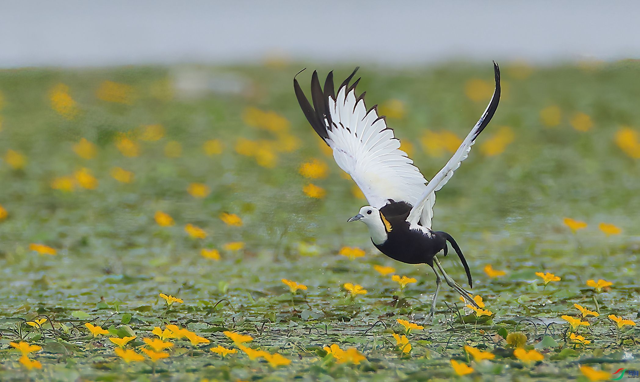 4R6A0288-SharpenAI-Motion.jpg