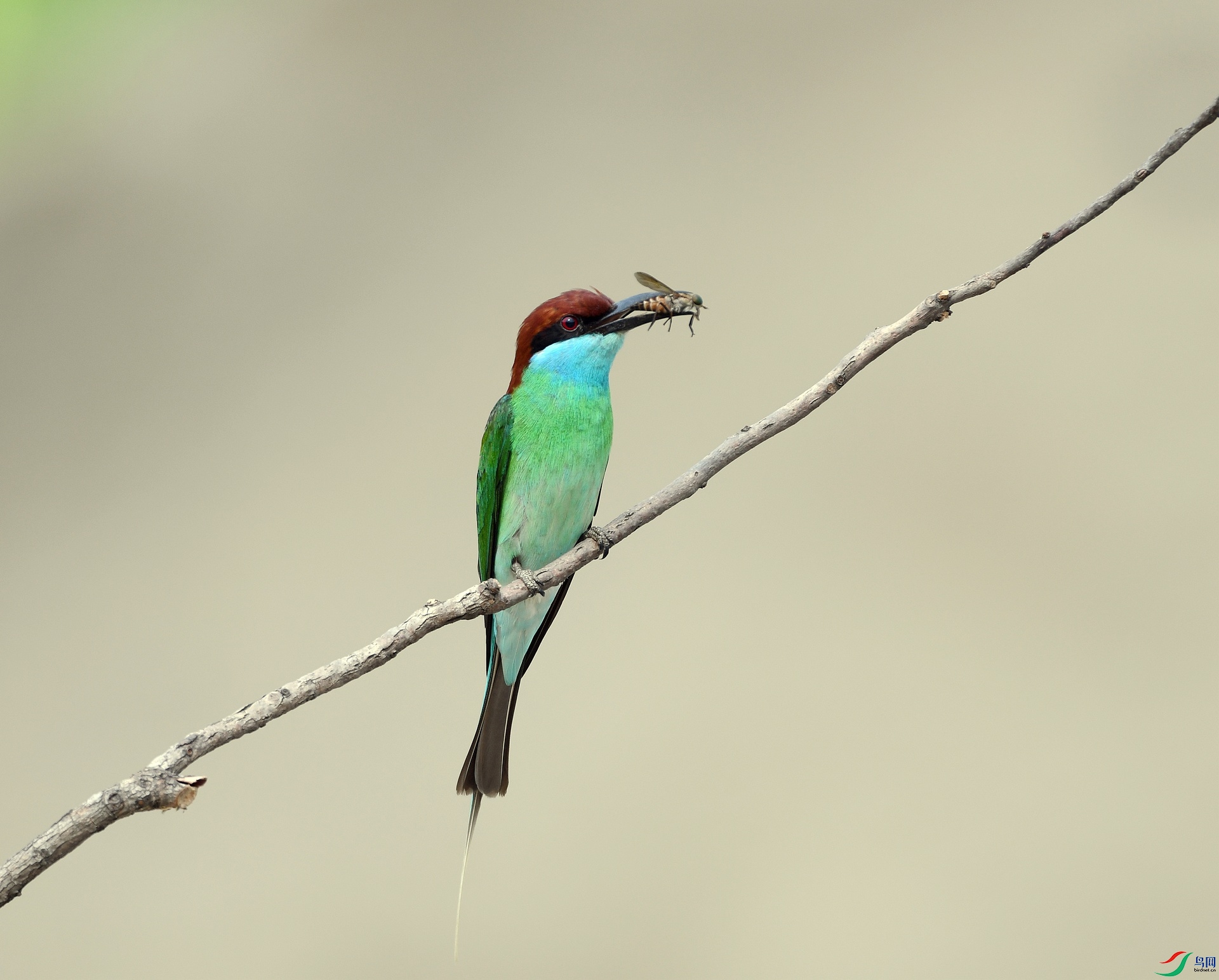 DSC_2729.jpg