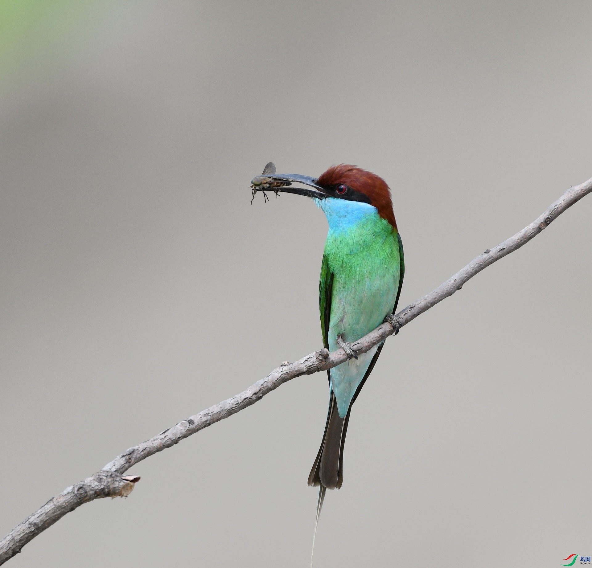 DSC_2725.jpg