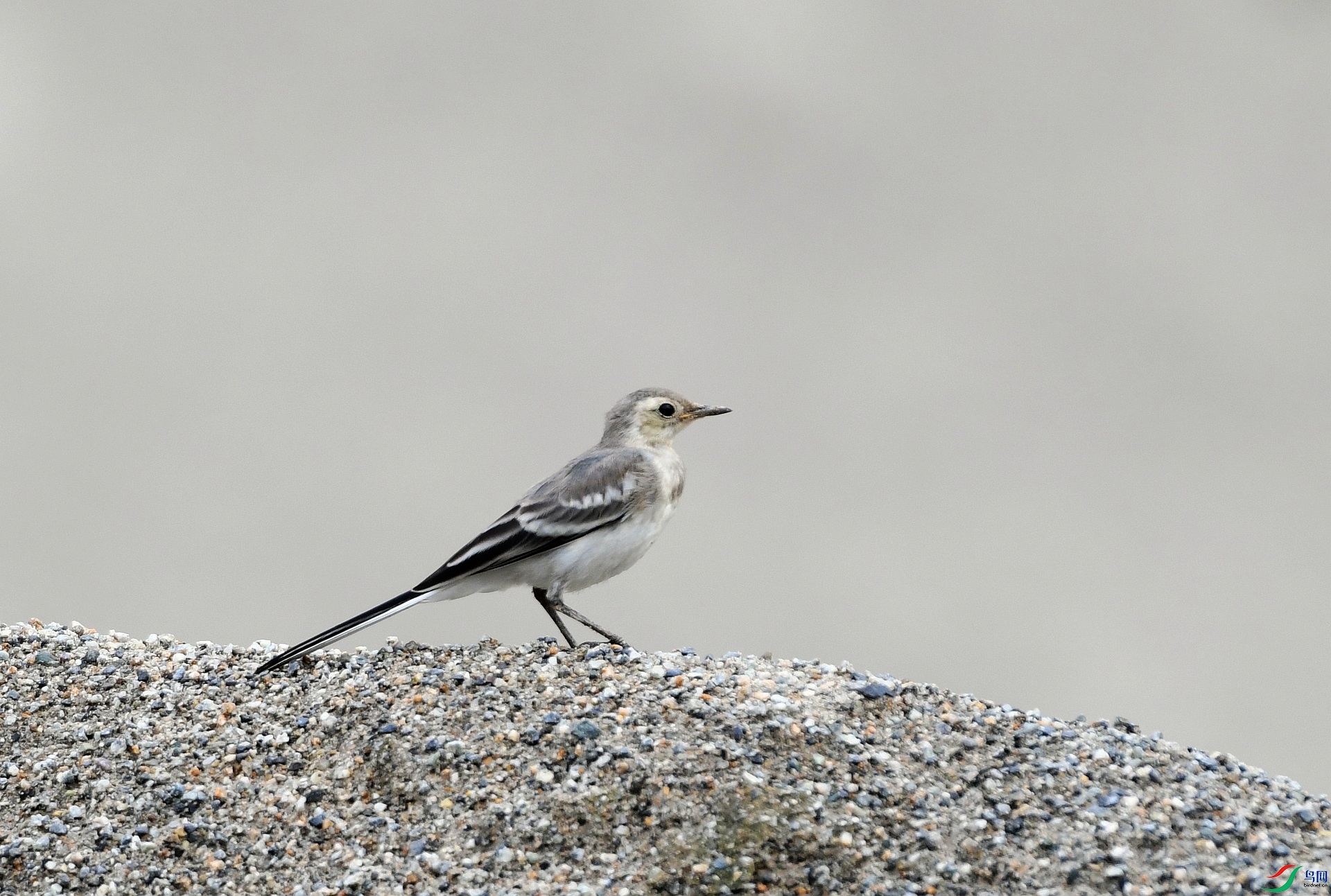 DSC_2855.jpg