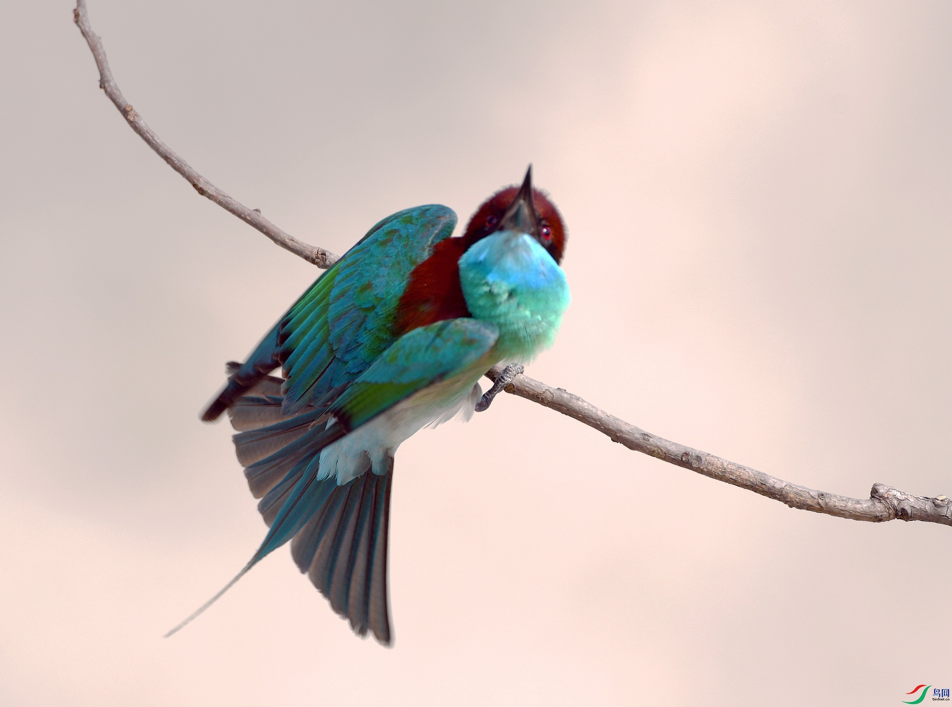 DSC_5289.jpg