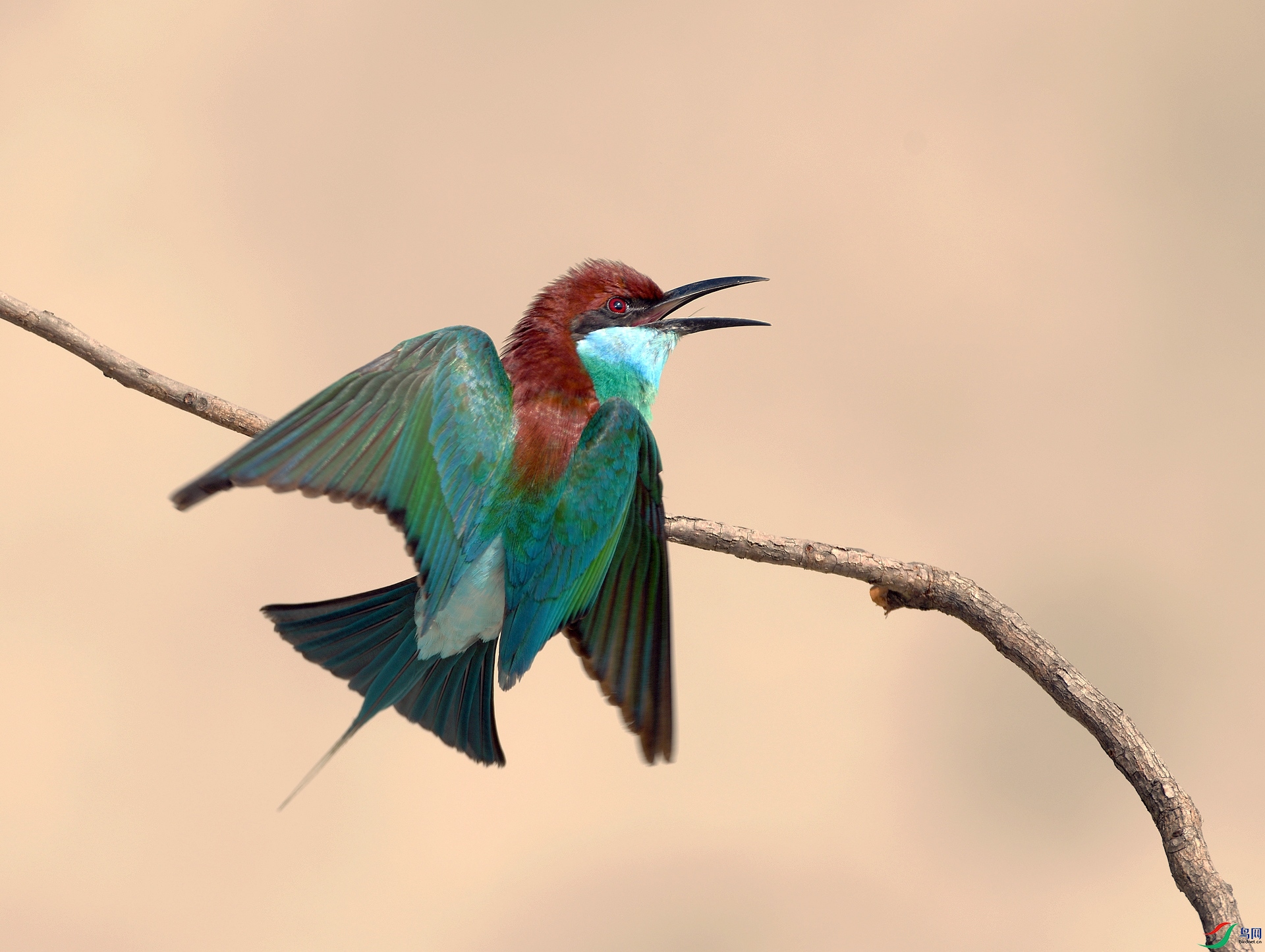 DSC_5280.jpg