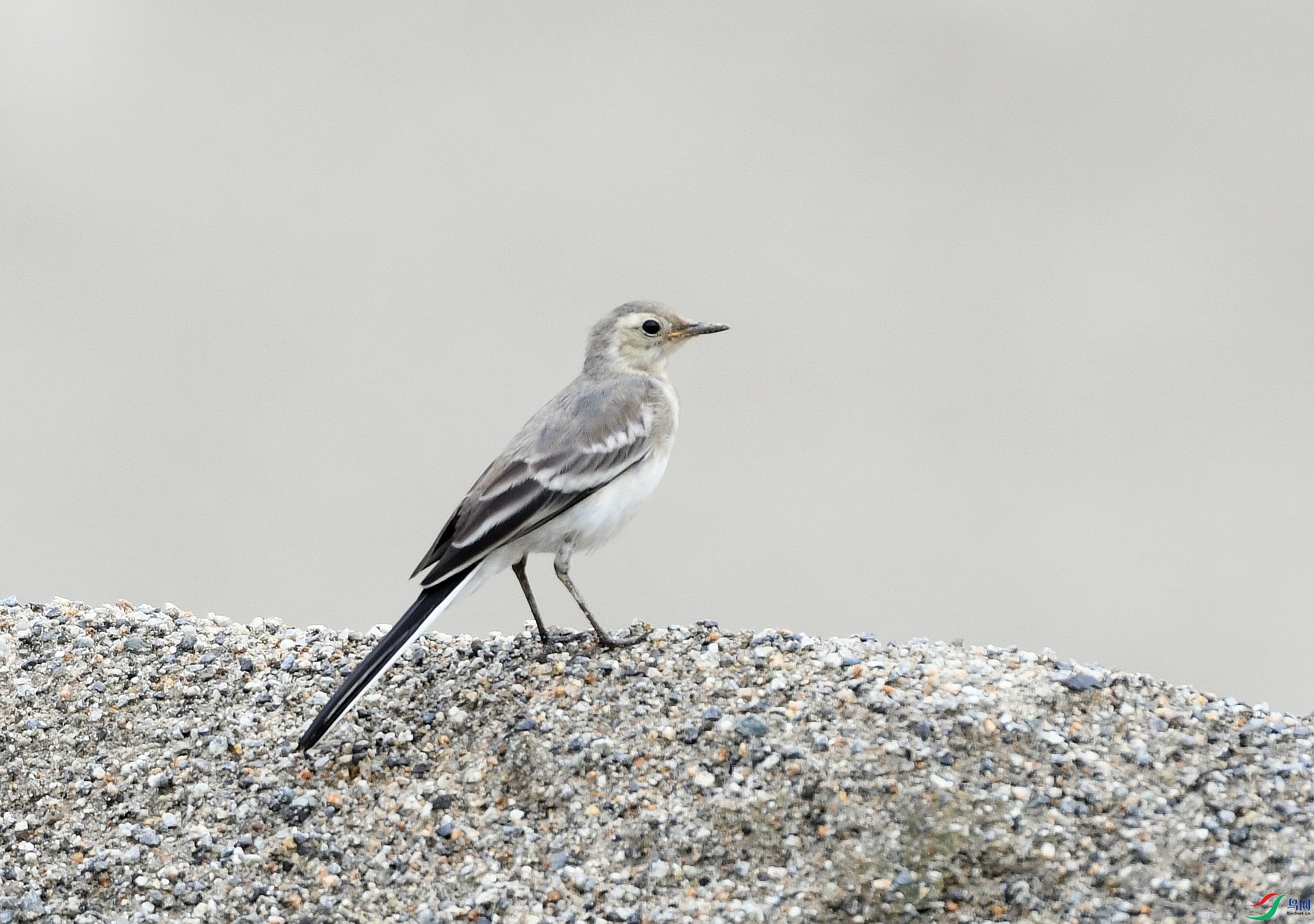 DSC_2851.jpg