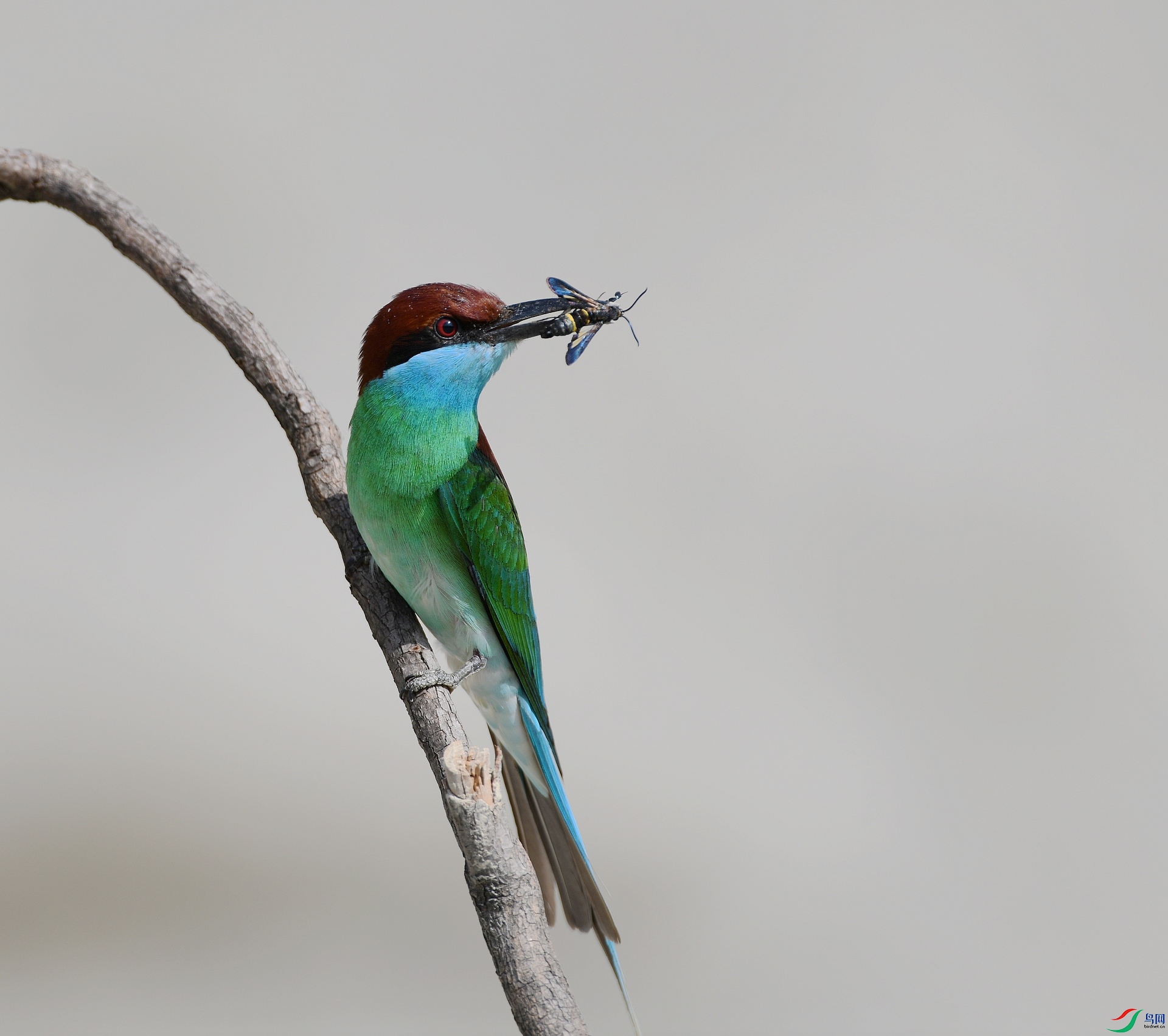 DSC_5245.jpg