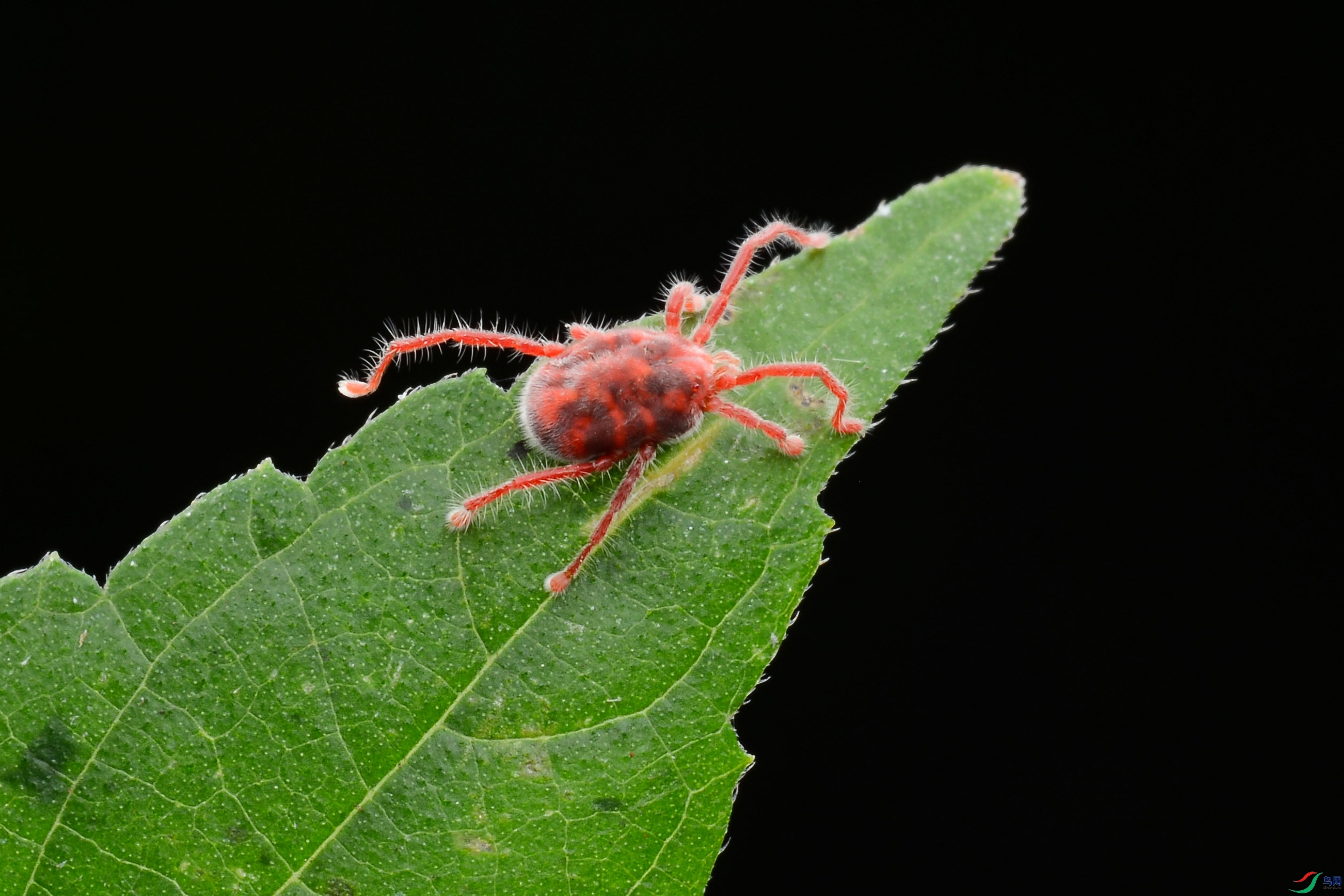 DSC_5210-0.jpg