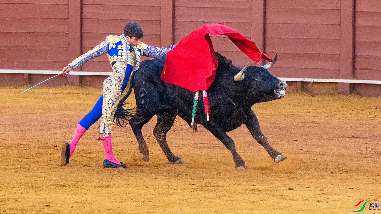 P5191592��ţ.jpg