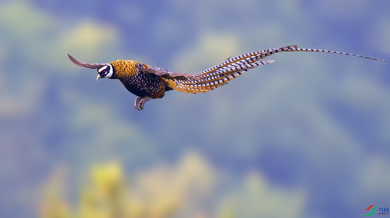 DL3T0349.jpg