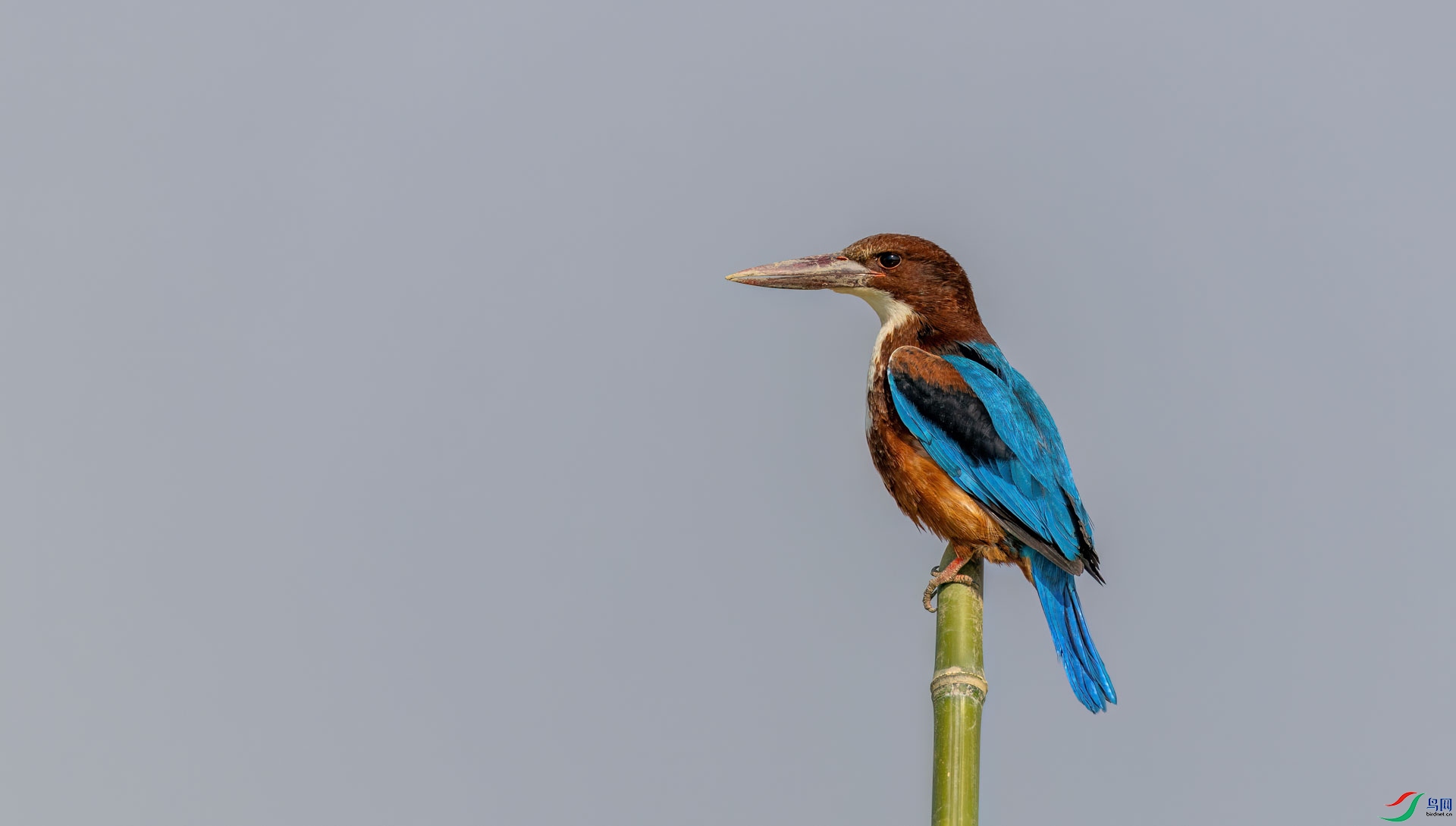 0L7A7245.jpg