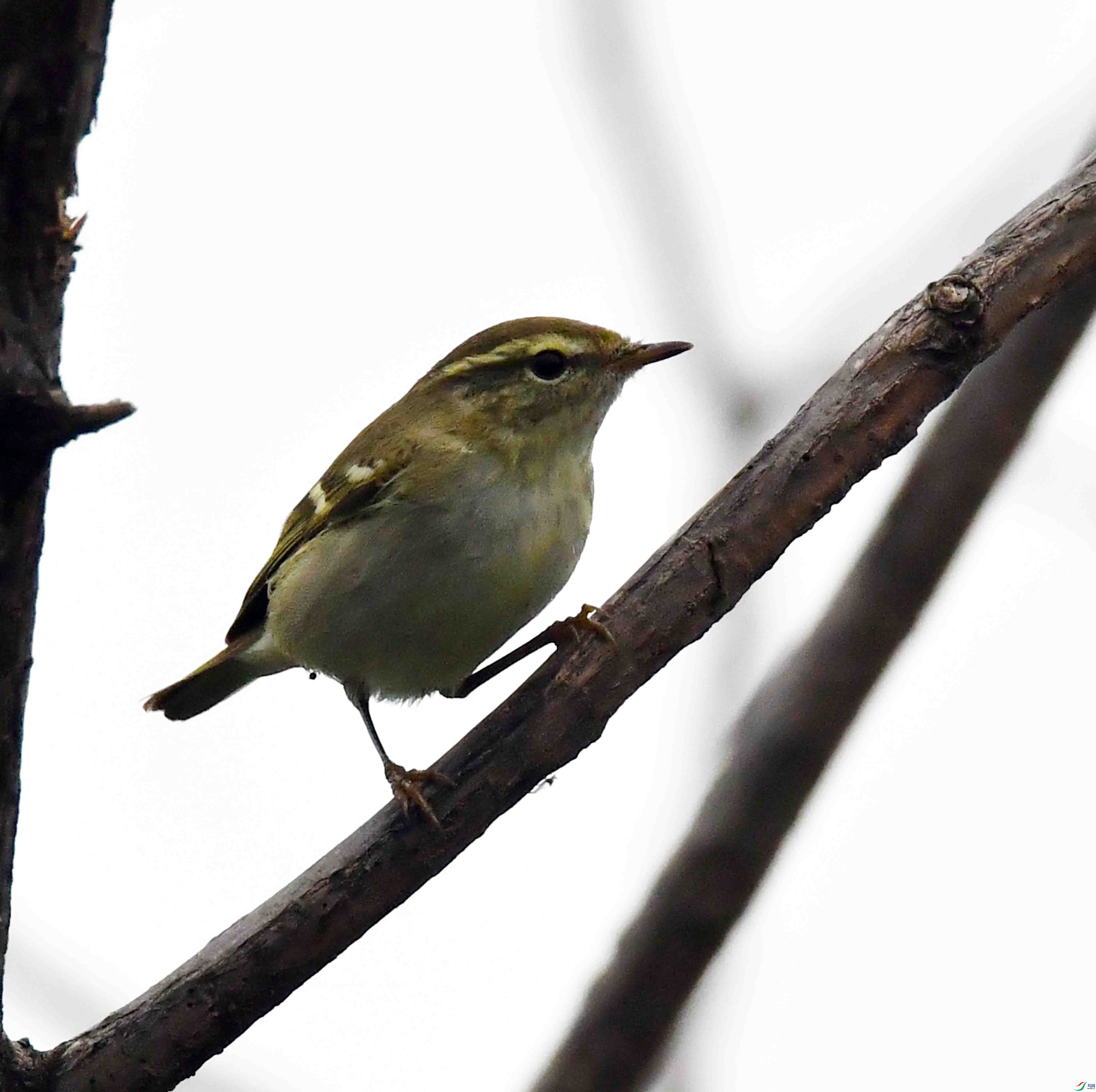 DSC_5562.JPG