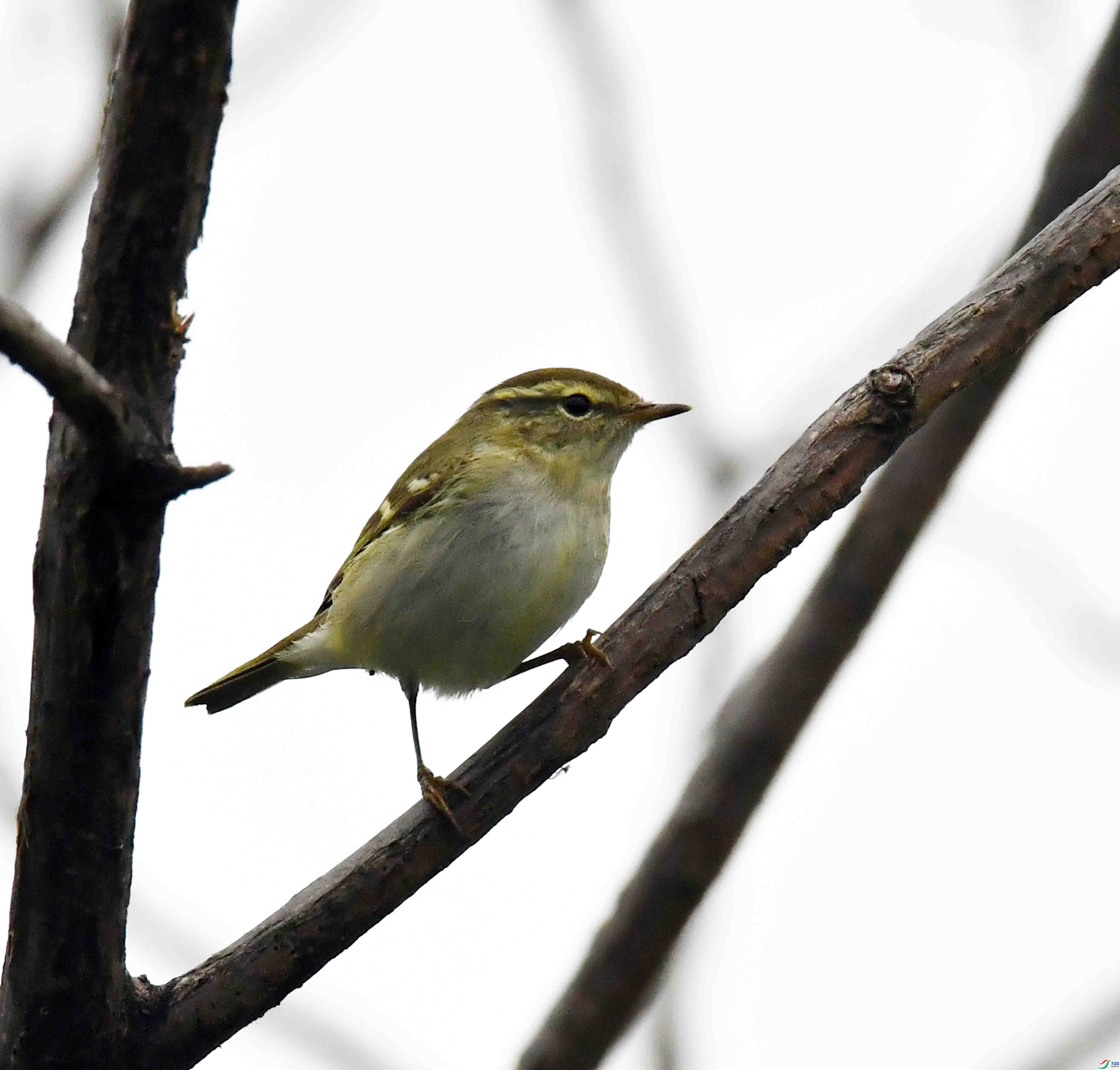 DSC_5566.JPG