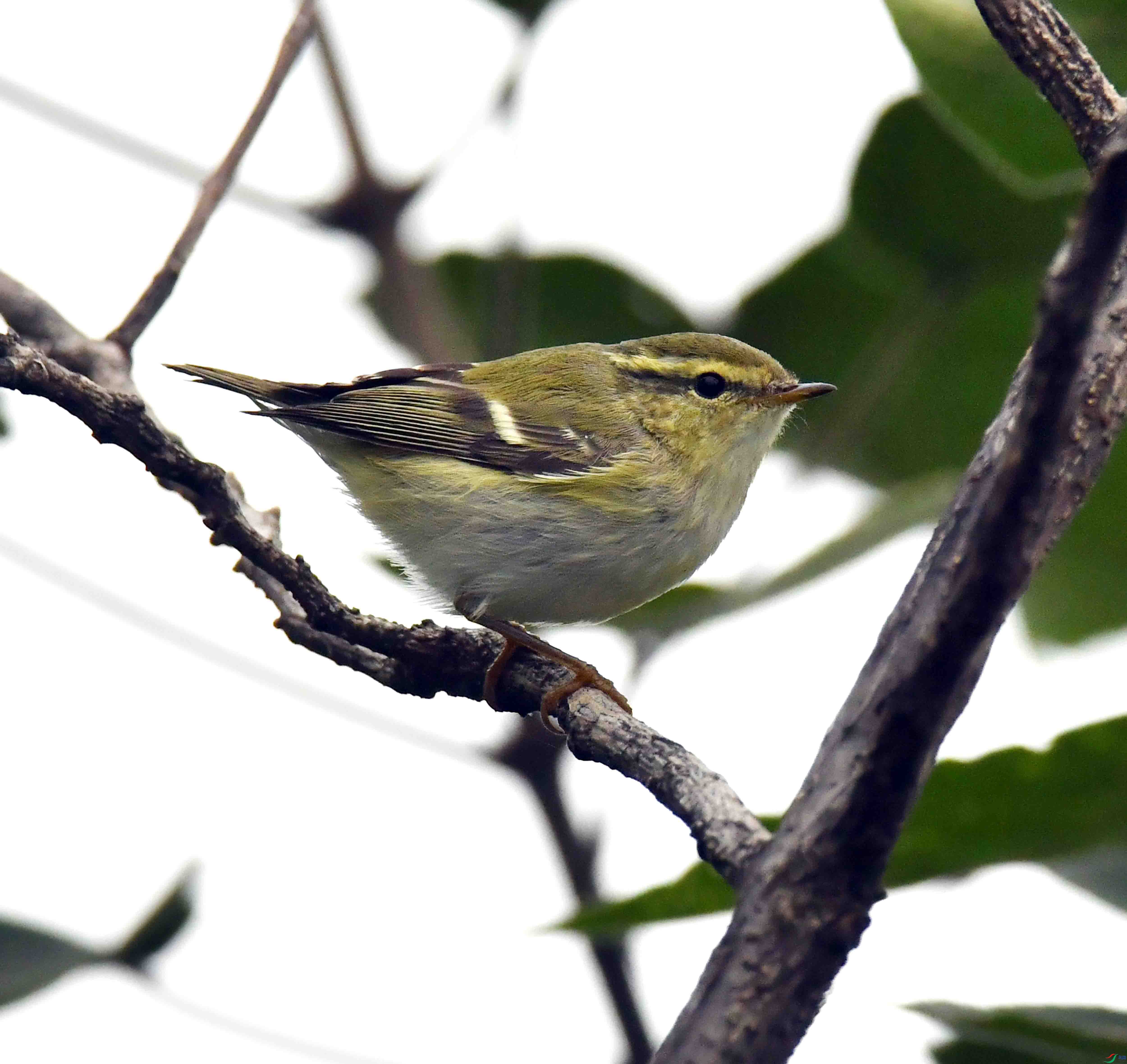 DSC_5608.JPG