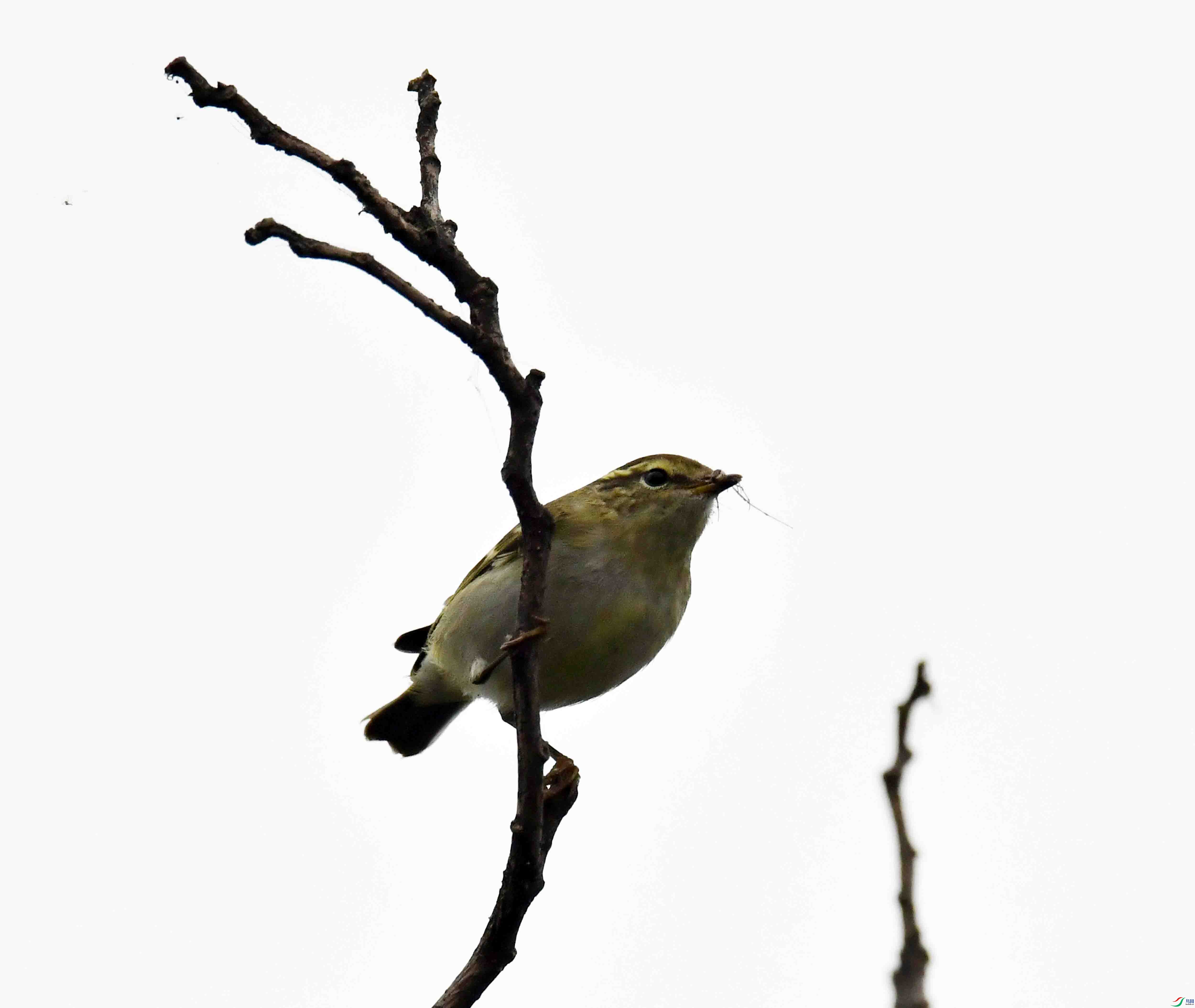 DSC_5637.JPG