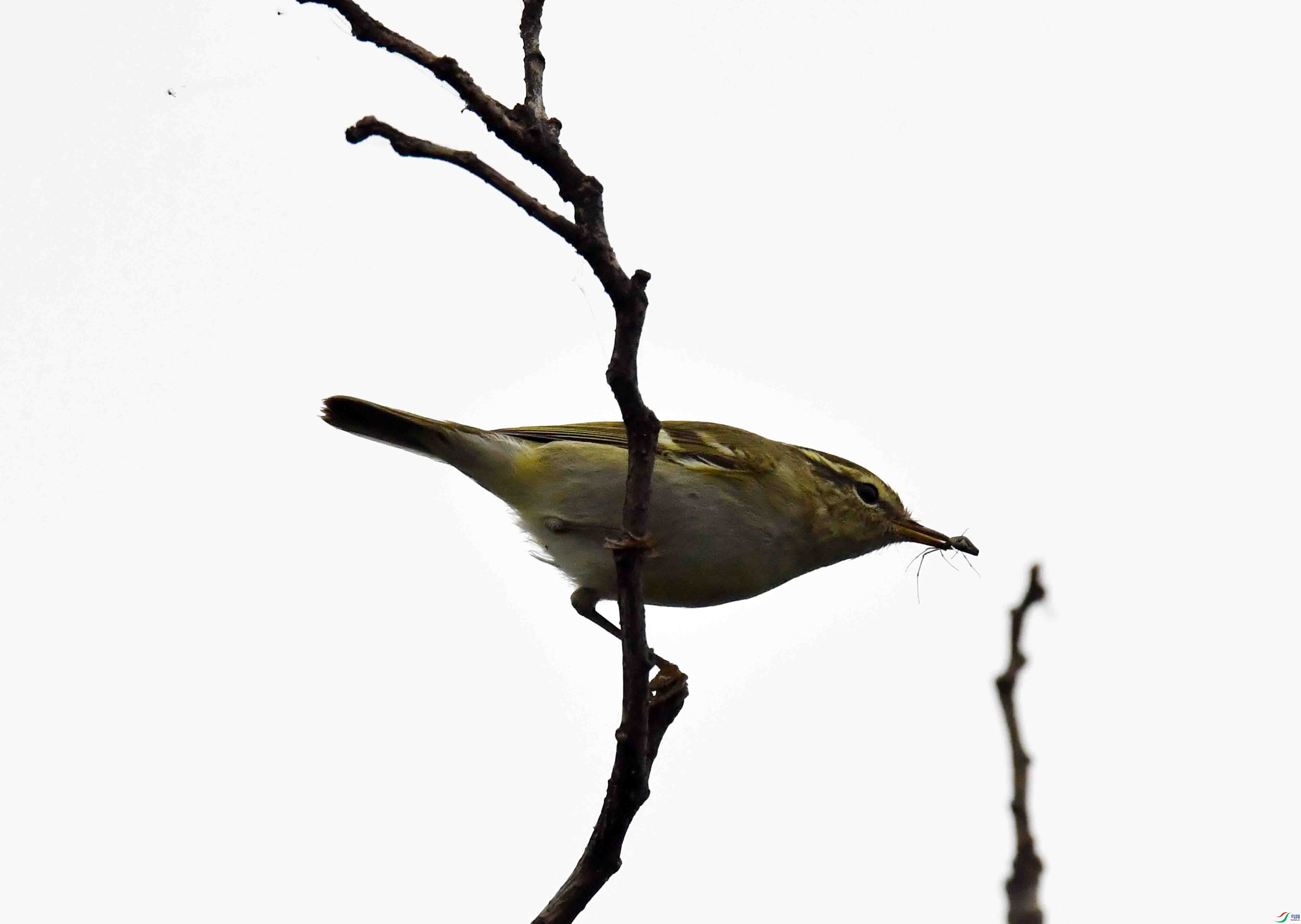 DSC_5634.JPG