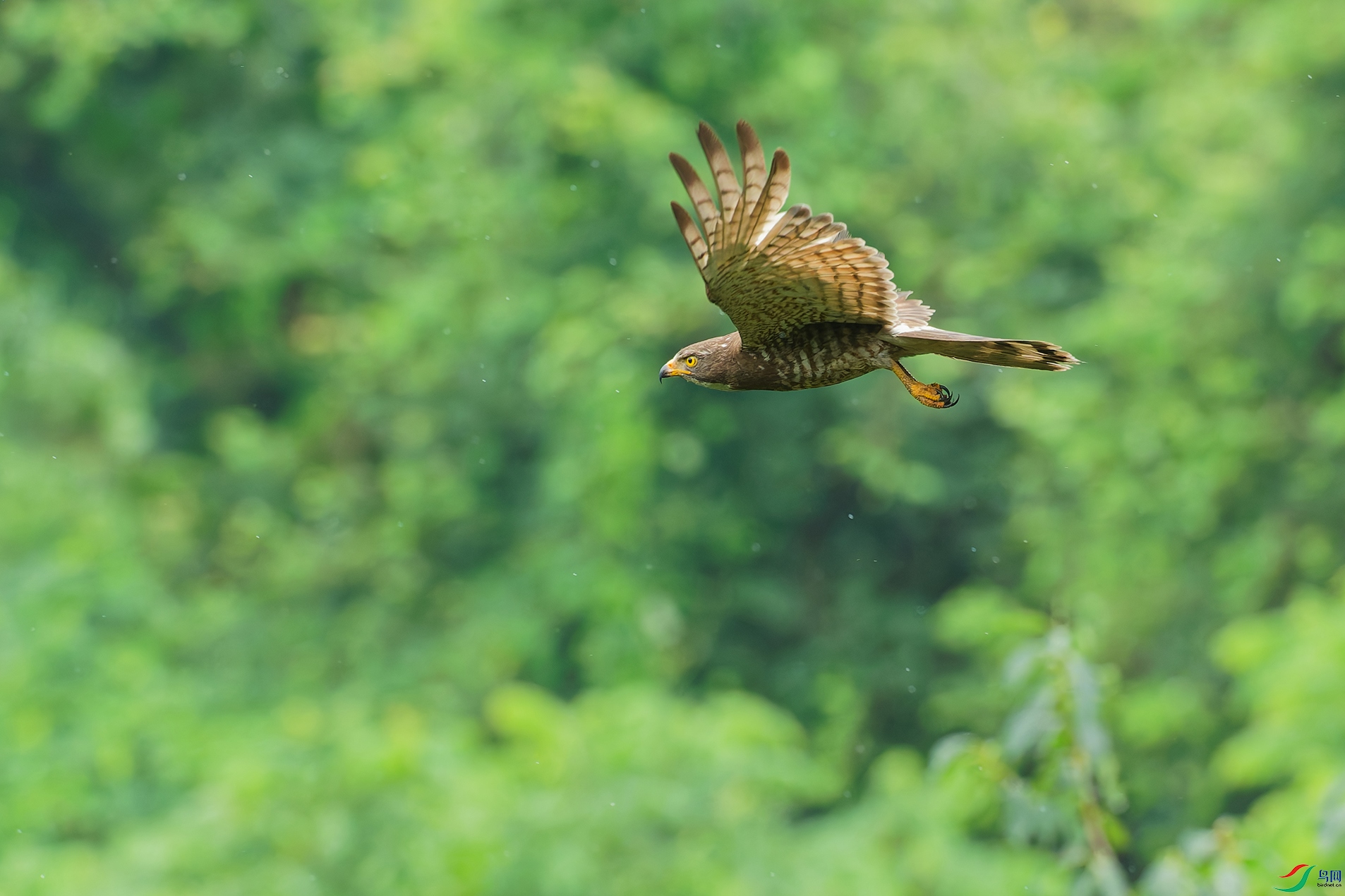 DSC_6021_DxO_DxO.jpga.jpg
