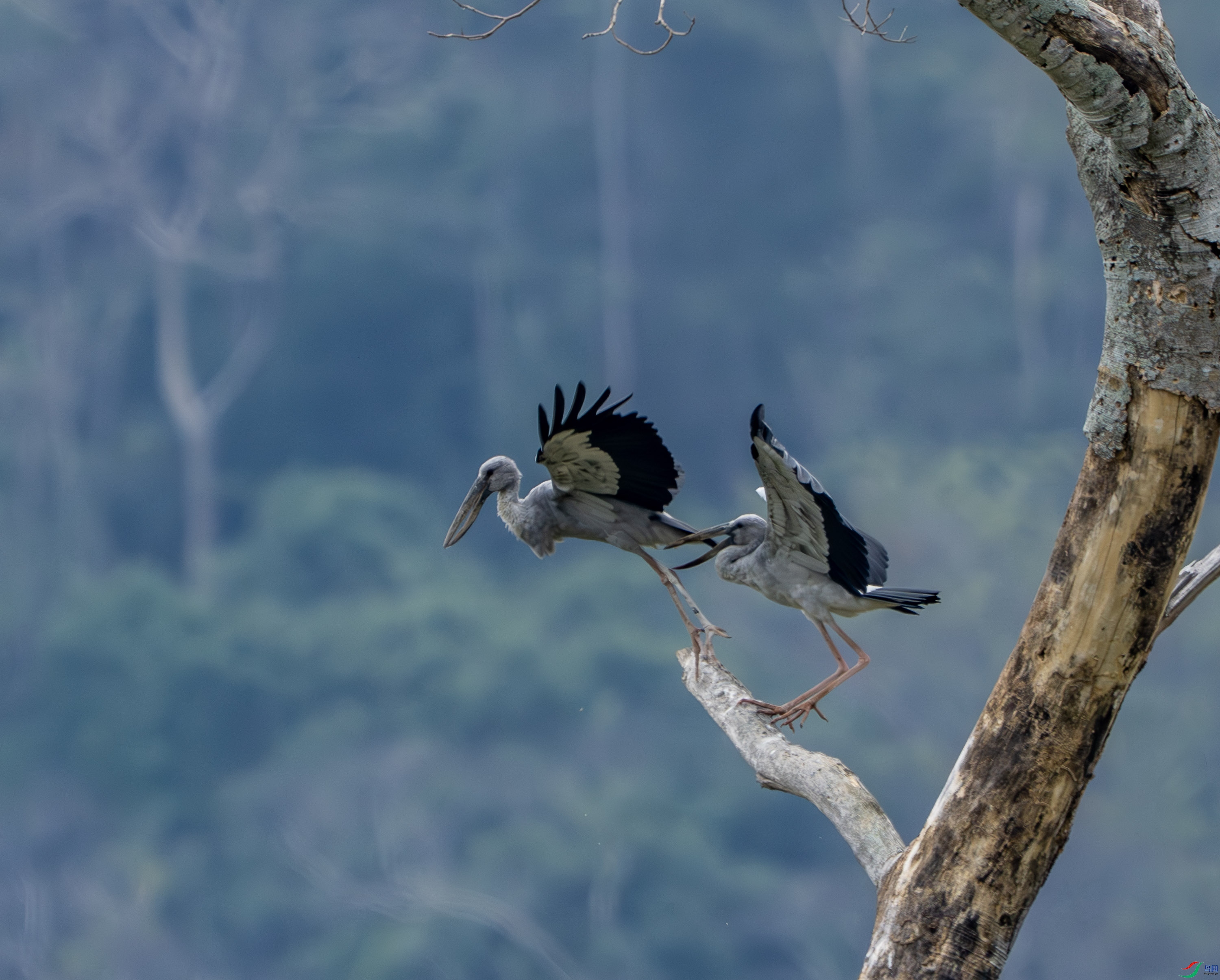 ǯ����-15-2.jpg