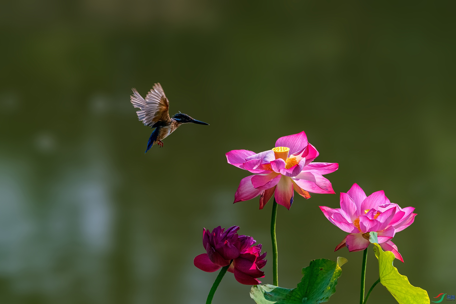 _AUU7405 ����(25.7.29).jpg