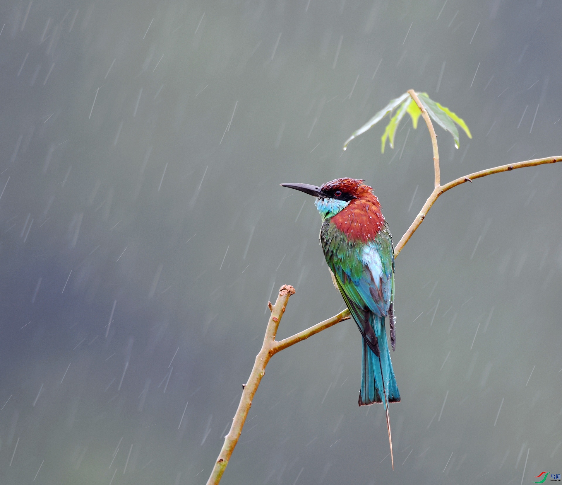 DSC_3474.jpg