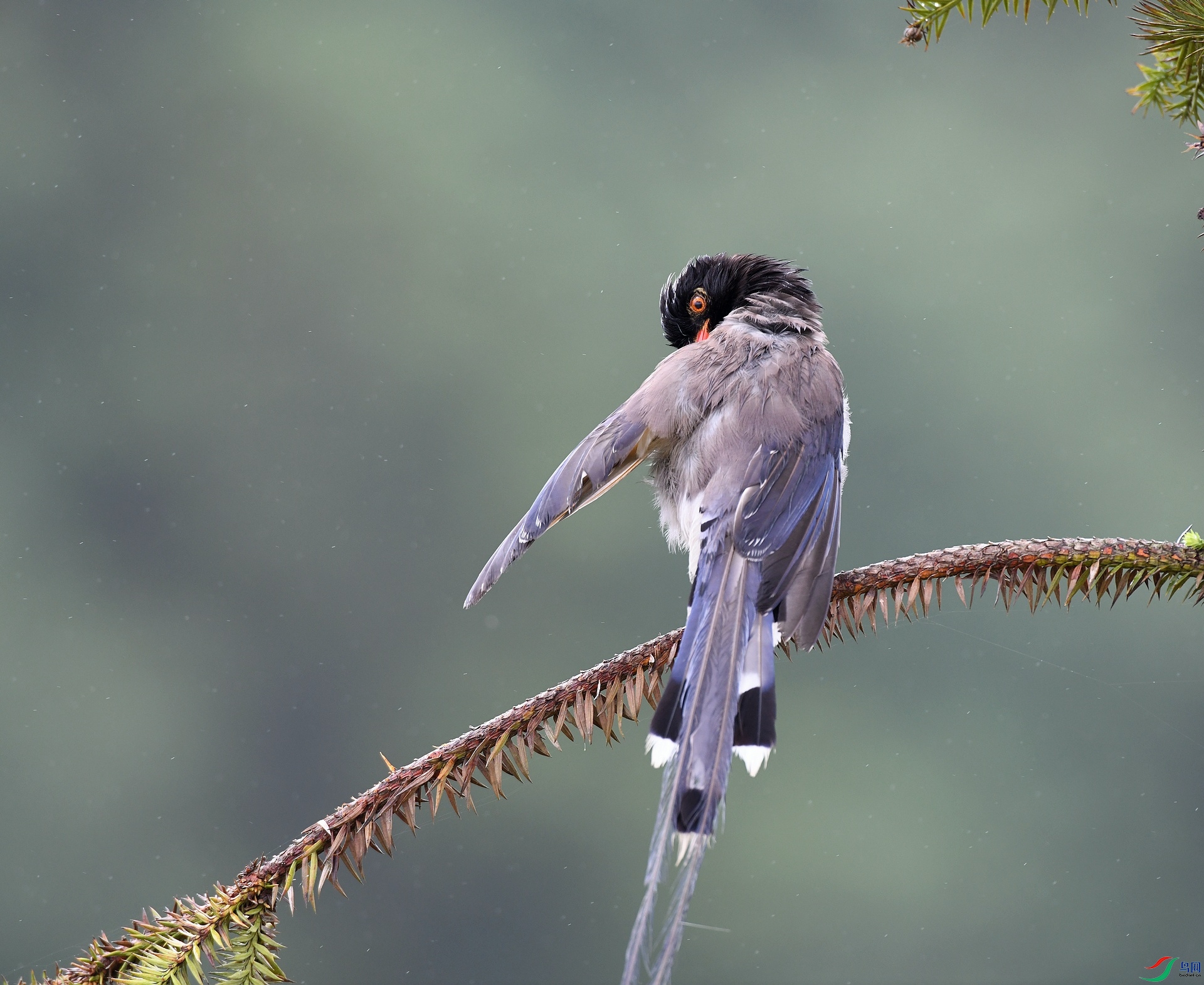 DSC_2141.jpg